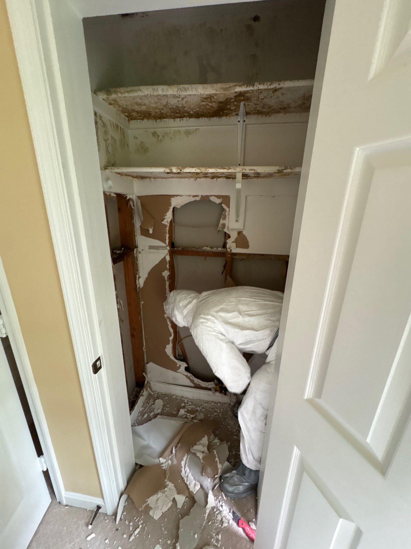 Mold remediation work in progress in McLean, applying treatment to affected materials and structural areas.