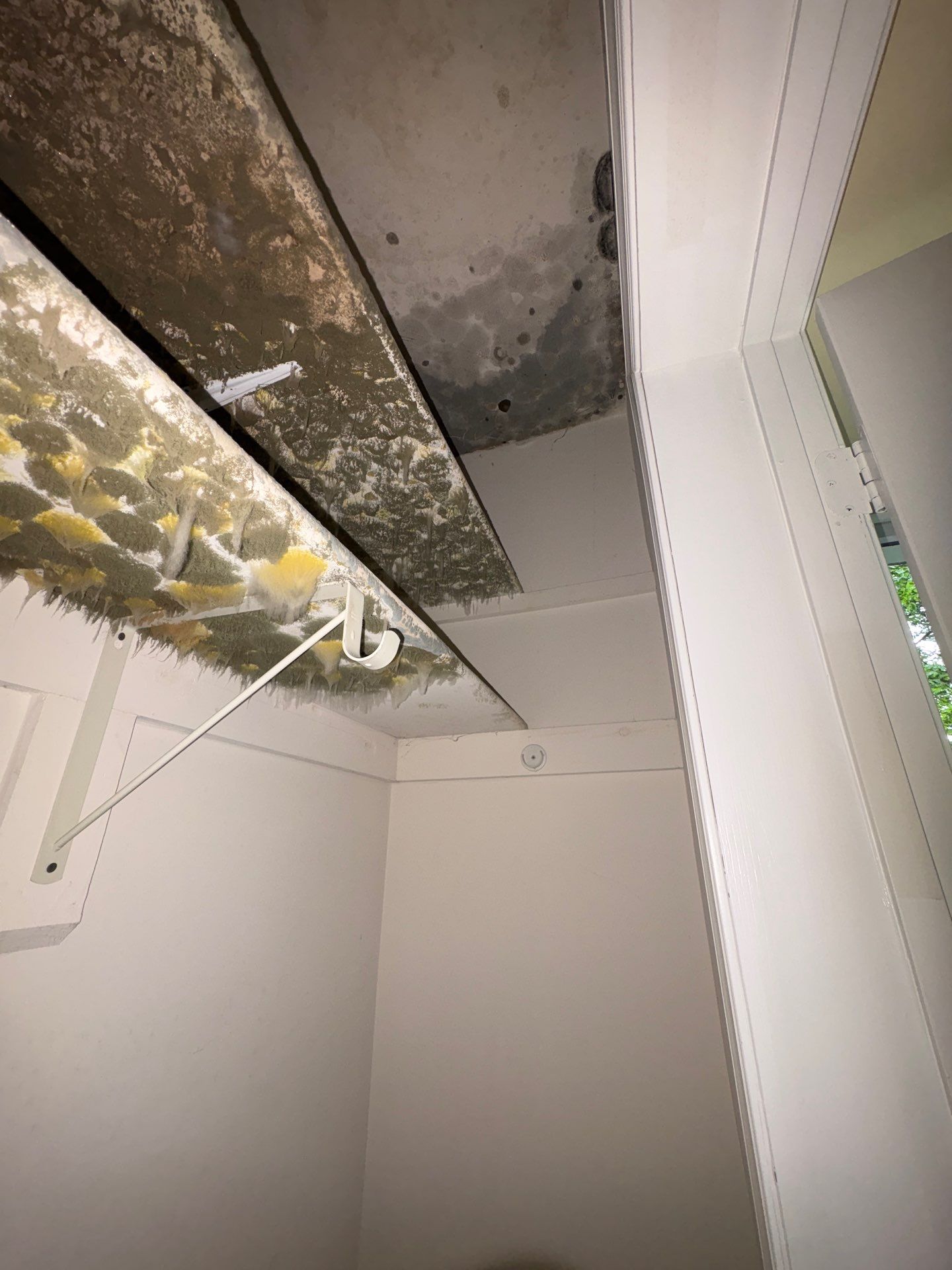 Completed mold remediation in McLean, surfaces treated and dried, ready for final inspection and restoration.