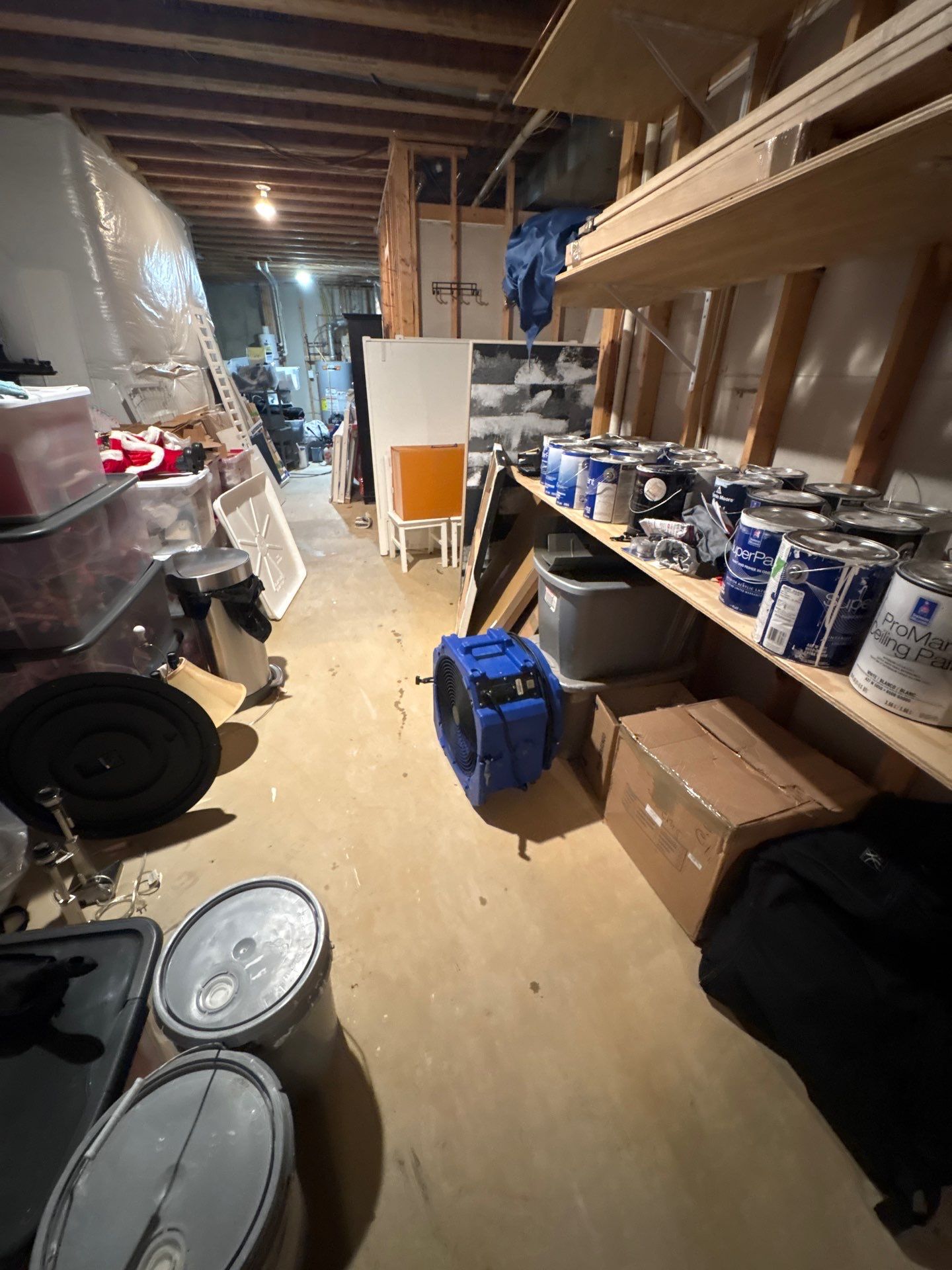 Baseboard removal exposes framing for inspection and ensures complete drying of wall cavities during restoration.