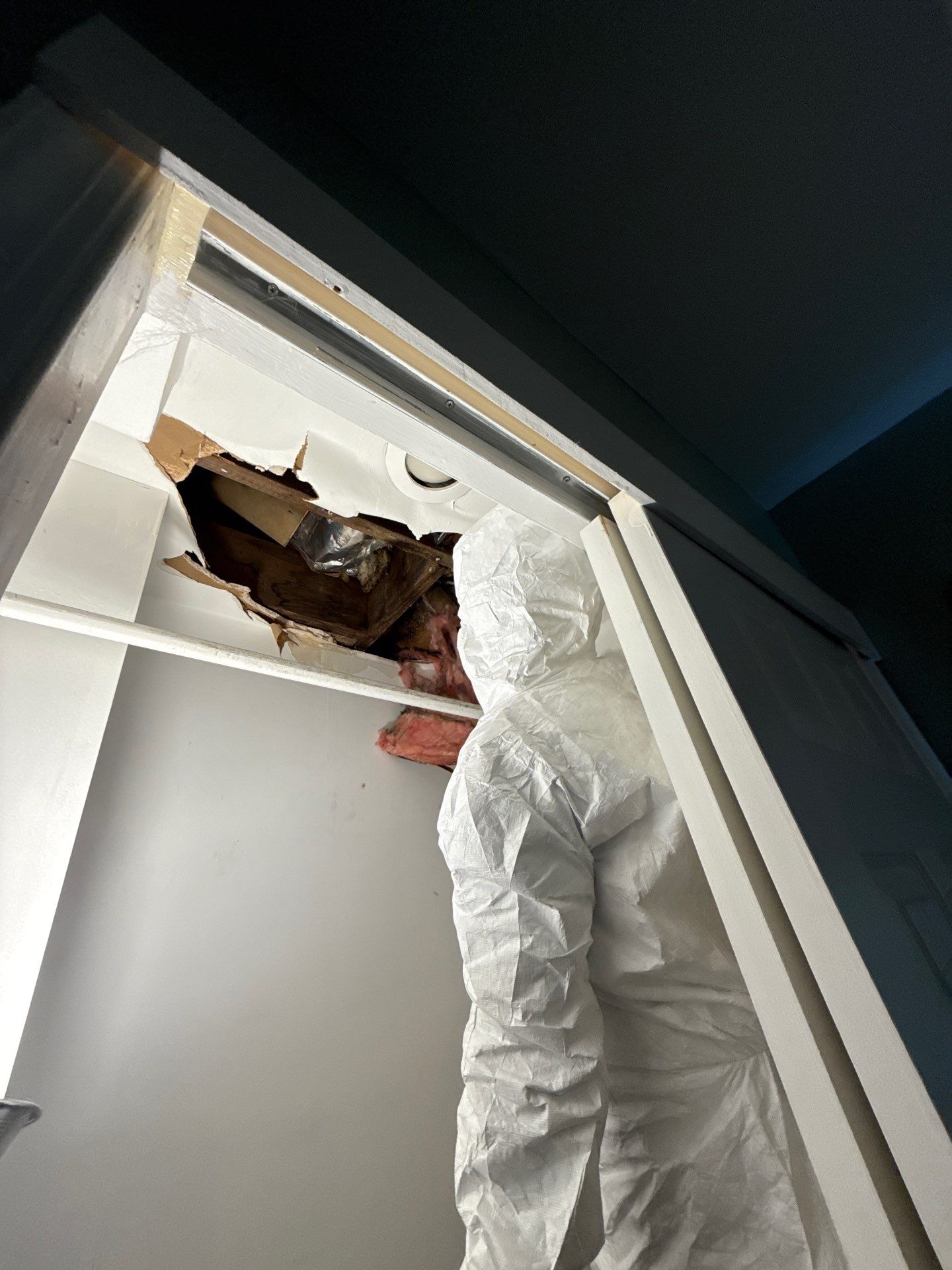 Restored ceiling section following completion of mold remediation and structural repairs in Fairfax.