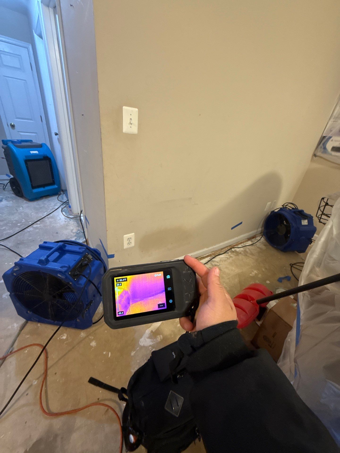 Carpet and flooring removal to prevent mold spread.