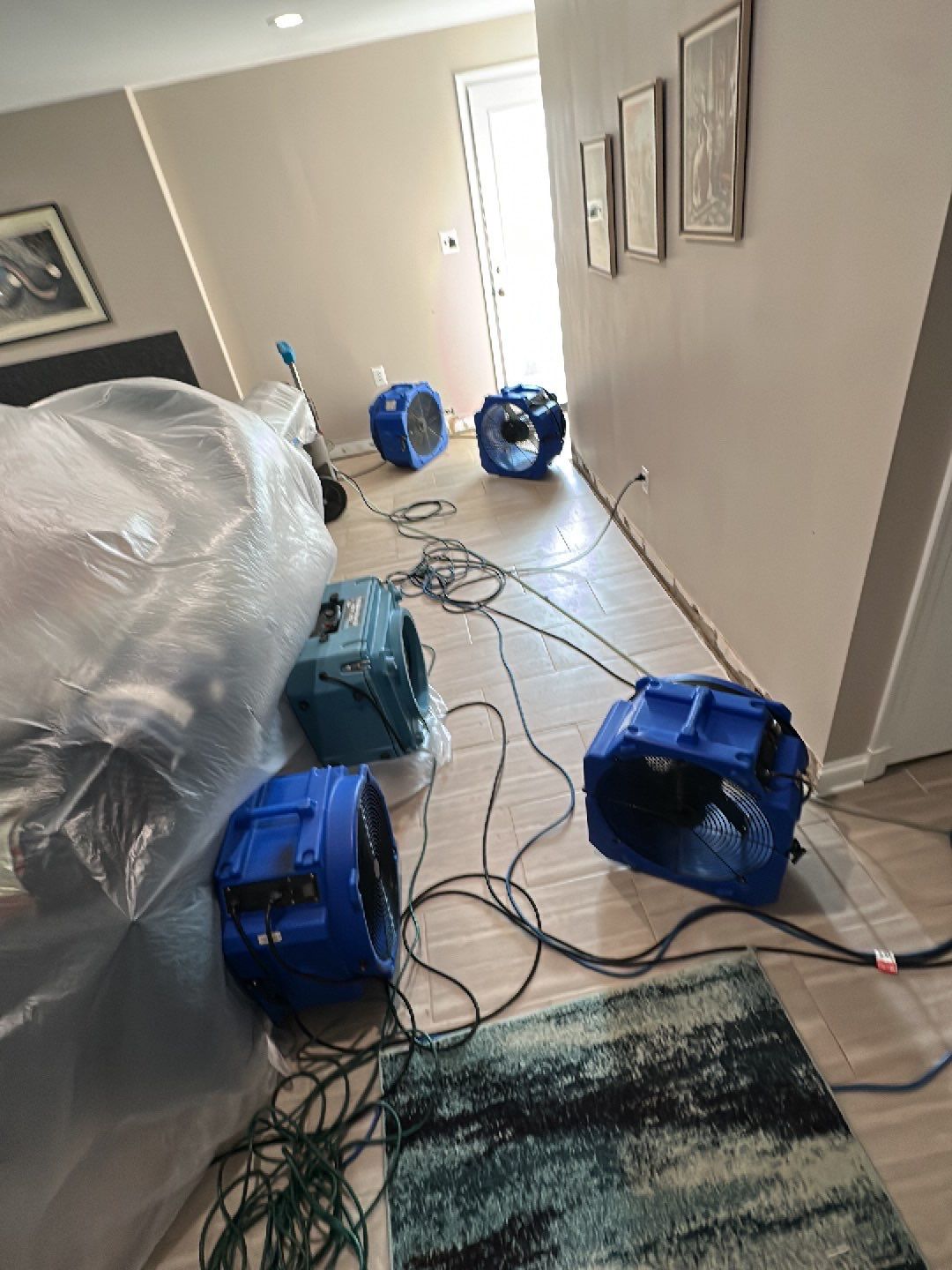 Thermal imaging camera documenting moisture distribution during water damage assessment in Falls Church.