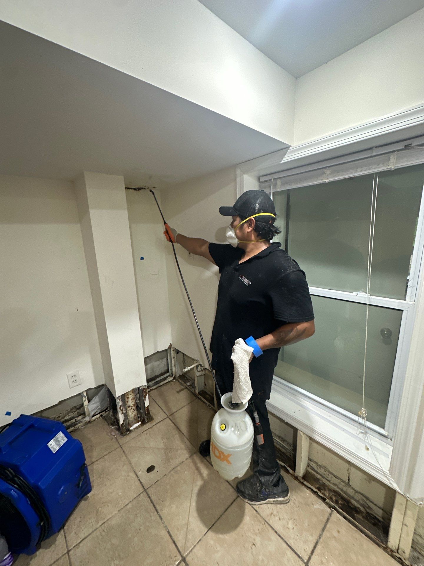 Mold remediation in Vienna begins with structural drying and moisture assessment of affected wall cavity.