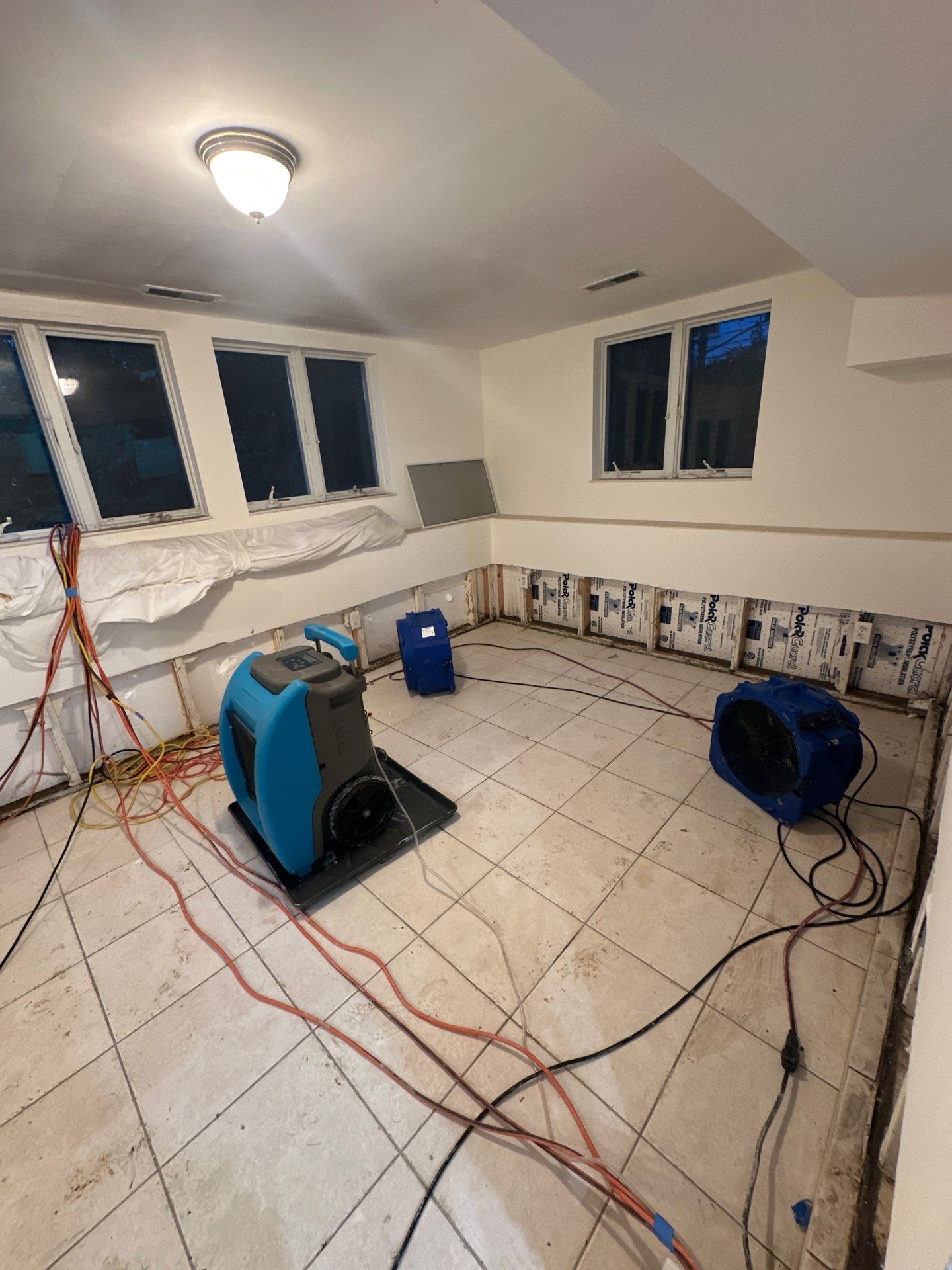 Baseboard removal underway during Vienna mold remediation to access and treat contaminated framing.