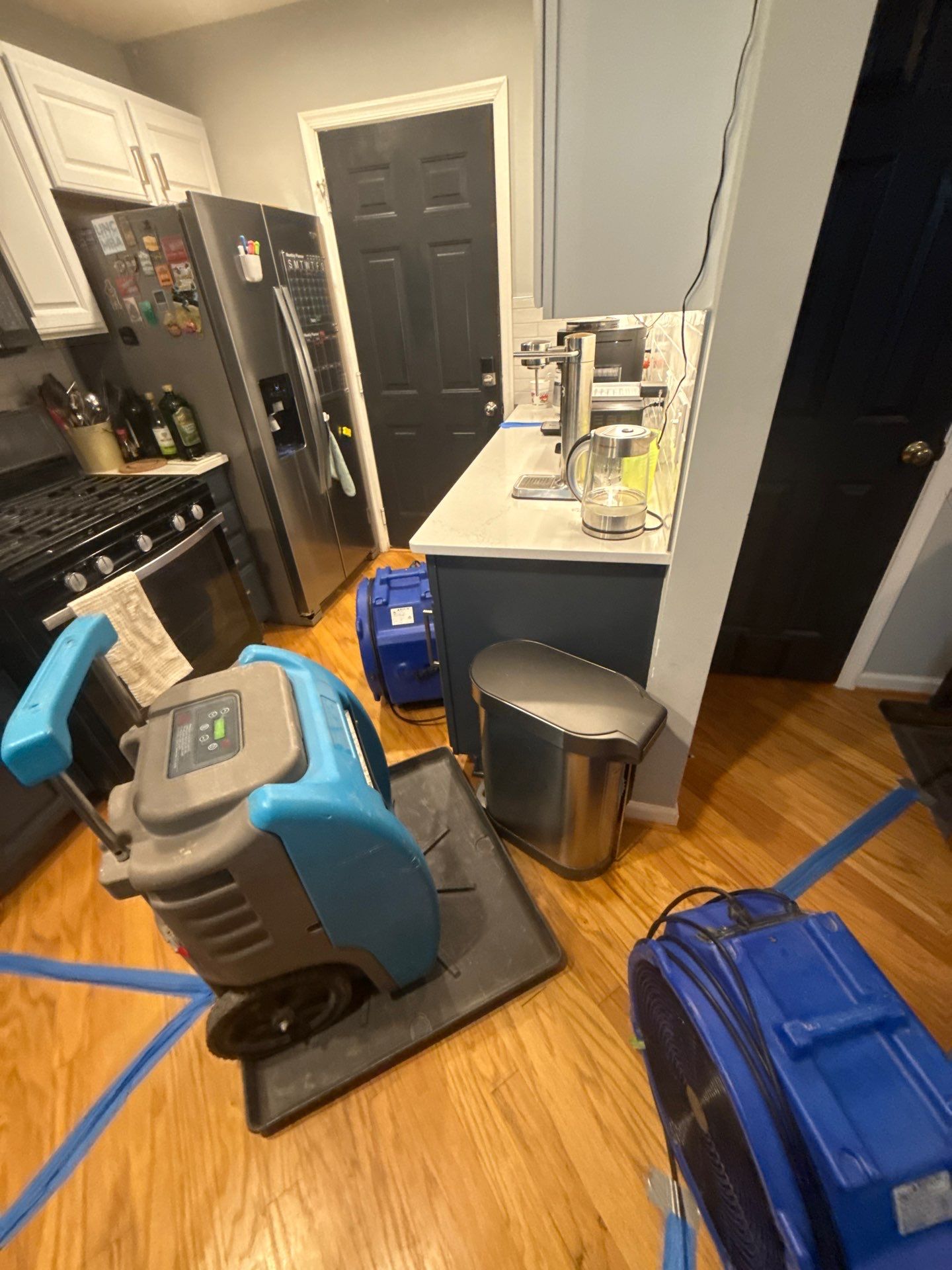 Final moisture verification after mold remediation and drying completion in Reston.