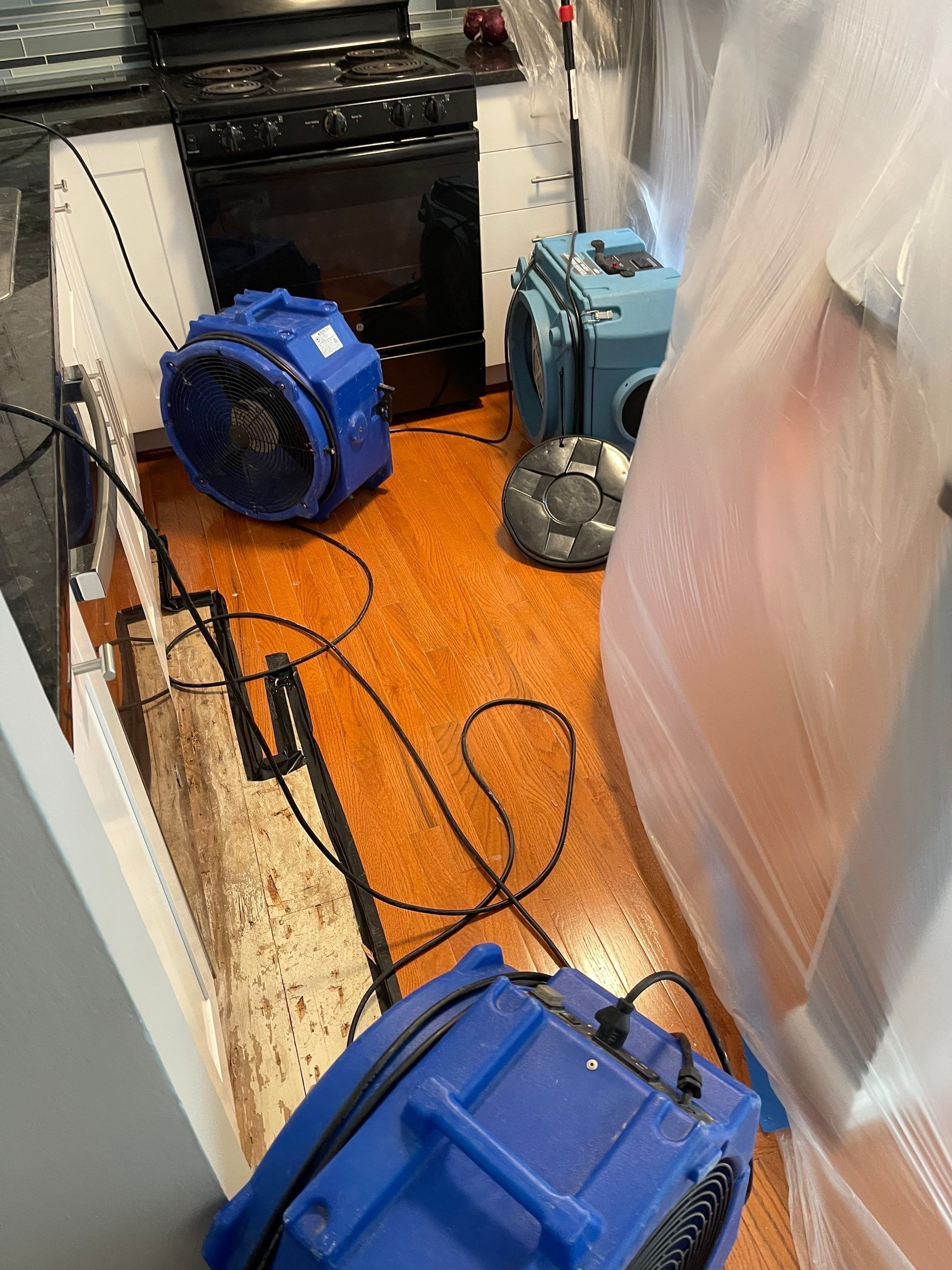 Final thermal inspection confirming moisture levels normalized after water restoration.