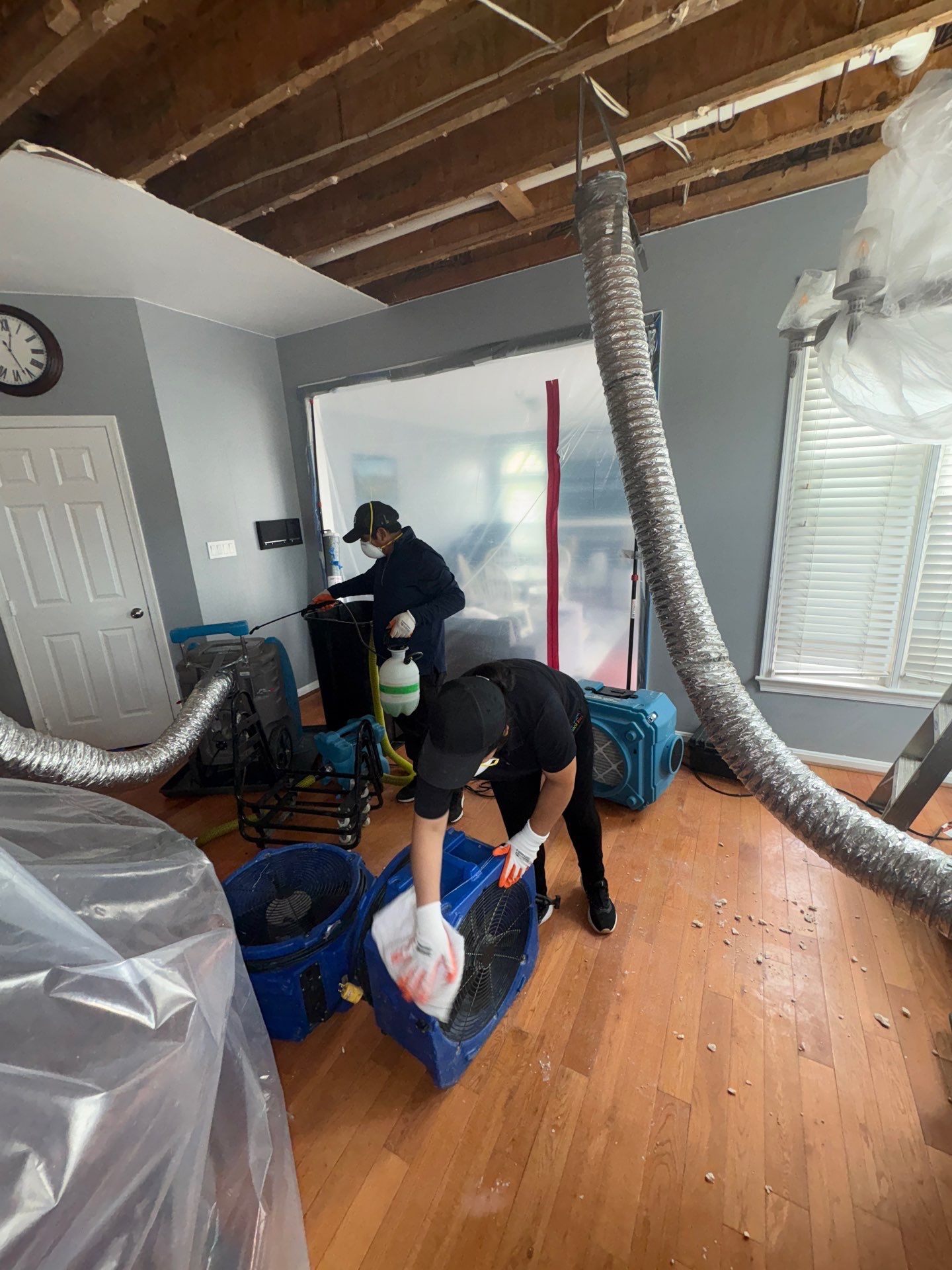 Containment barrier erected during mold remediation in Lorton, Virginia, isolating affected area.