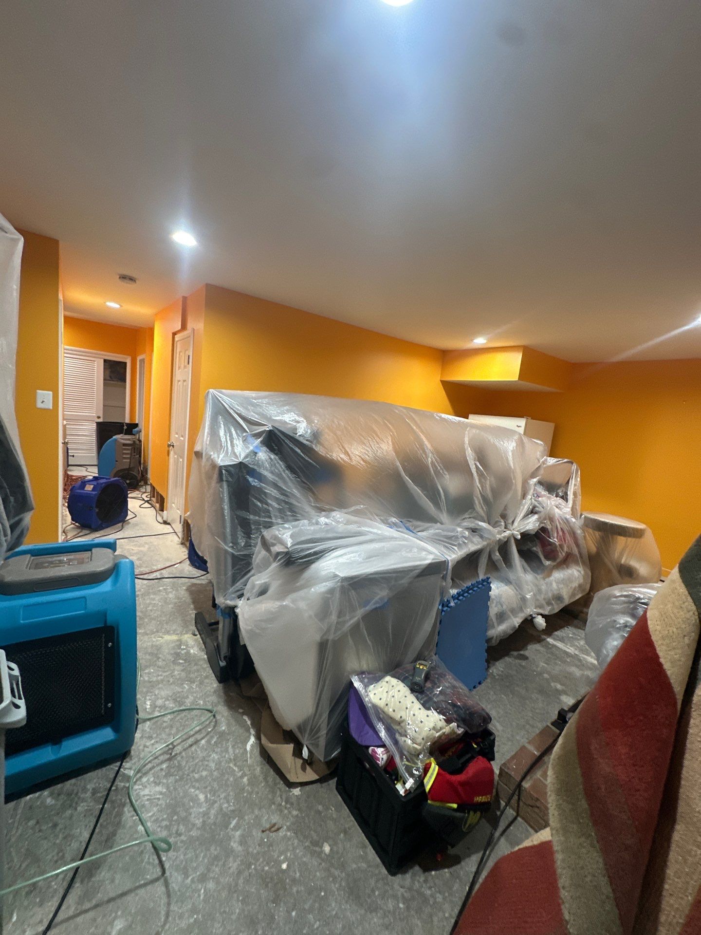 Final moisture verification with thermal imaging confirming successful water damage restoration, Alexandria.