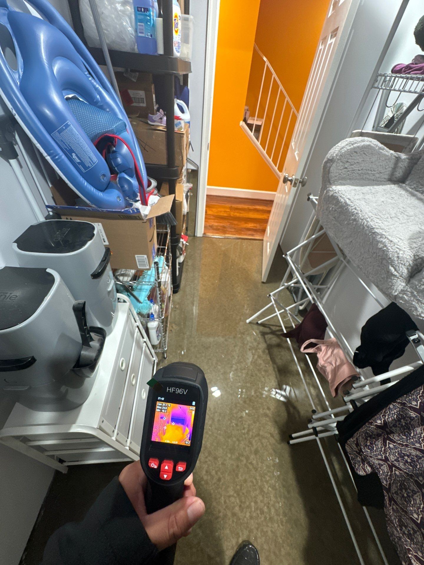 Thermal imaging camera documenting moisture distribution in affected materials, Alexandria.