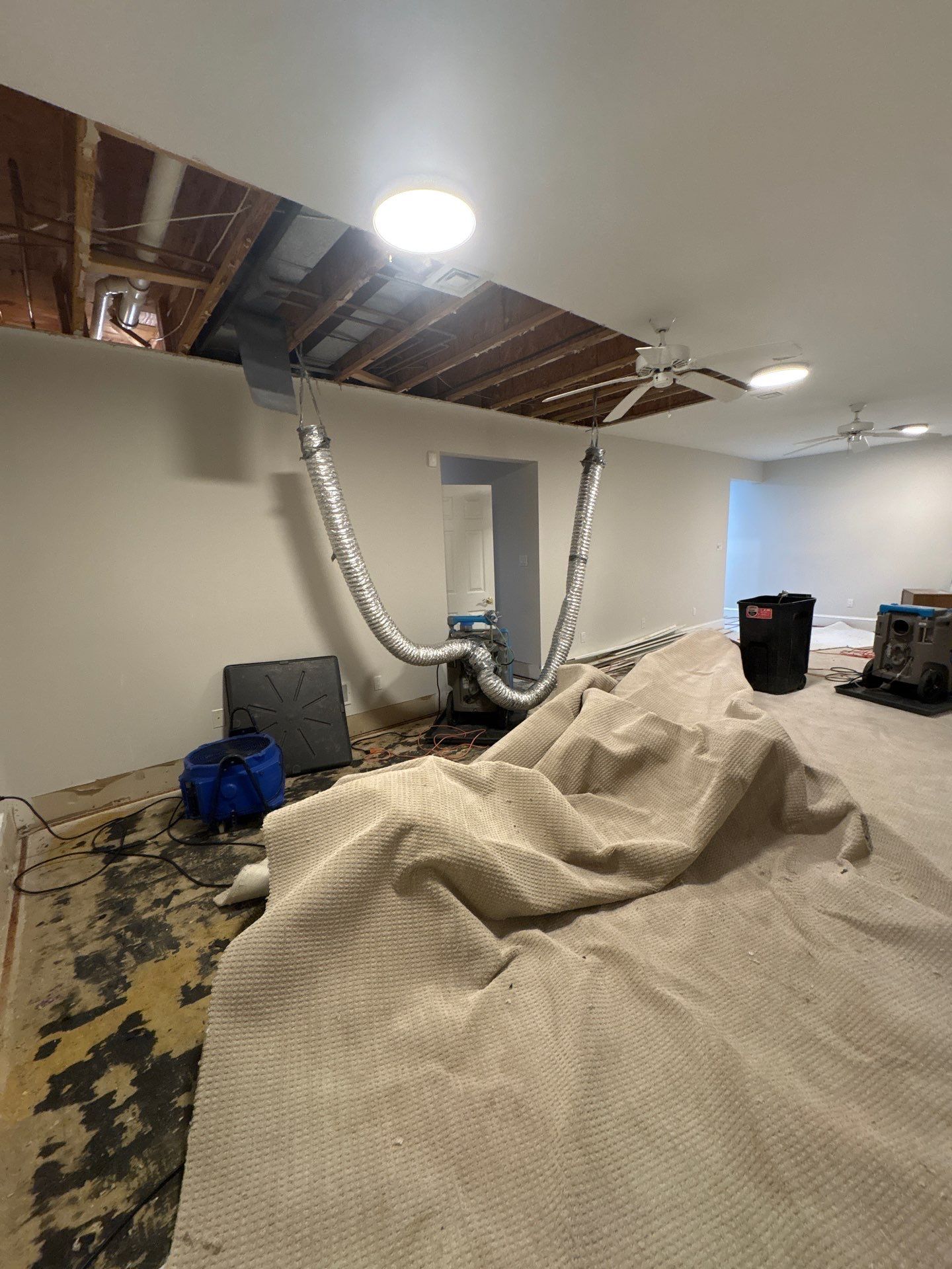 Framing and structural materials in final drying stages before wall replacement begins in restoration.