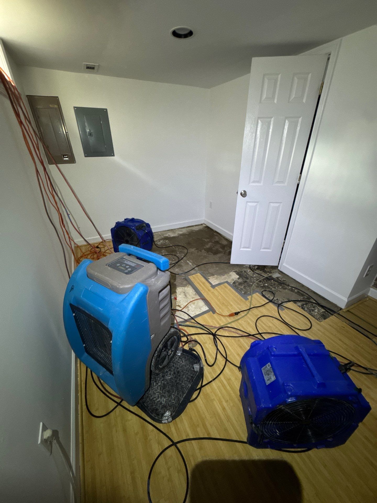 Continued drying phase with dehumidifiers and air movers working to bring moisture levels down.
