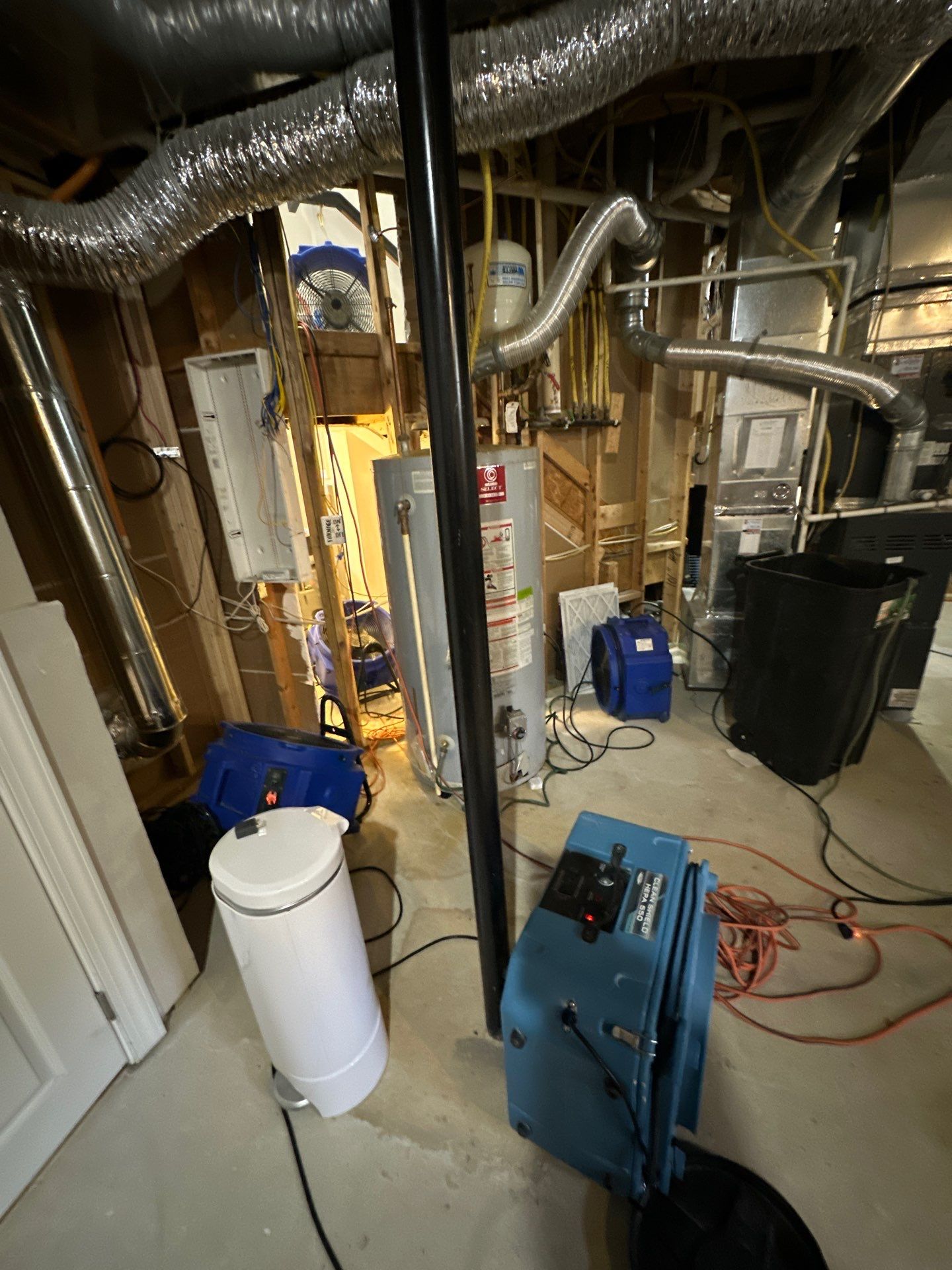 Thermal imaging camera documenting moisture patterns during mold remediation assessment in Annandale.