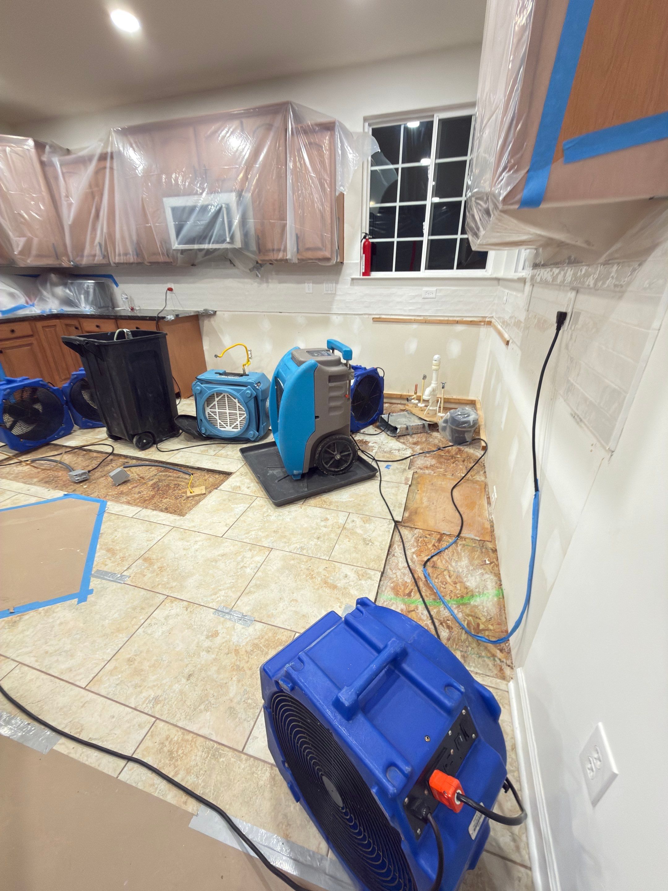 Moisture mapping guides targeted treatment of remaining affected areas during remediation work.