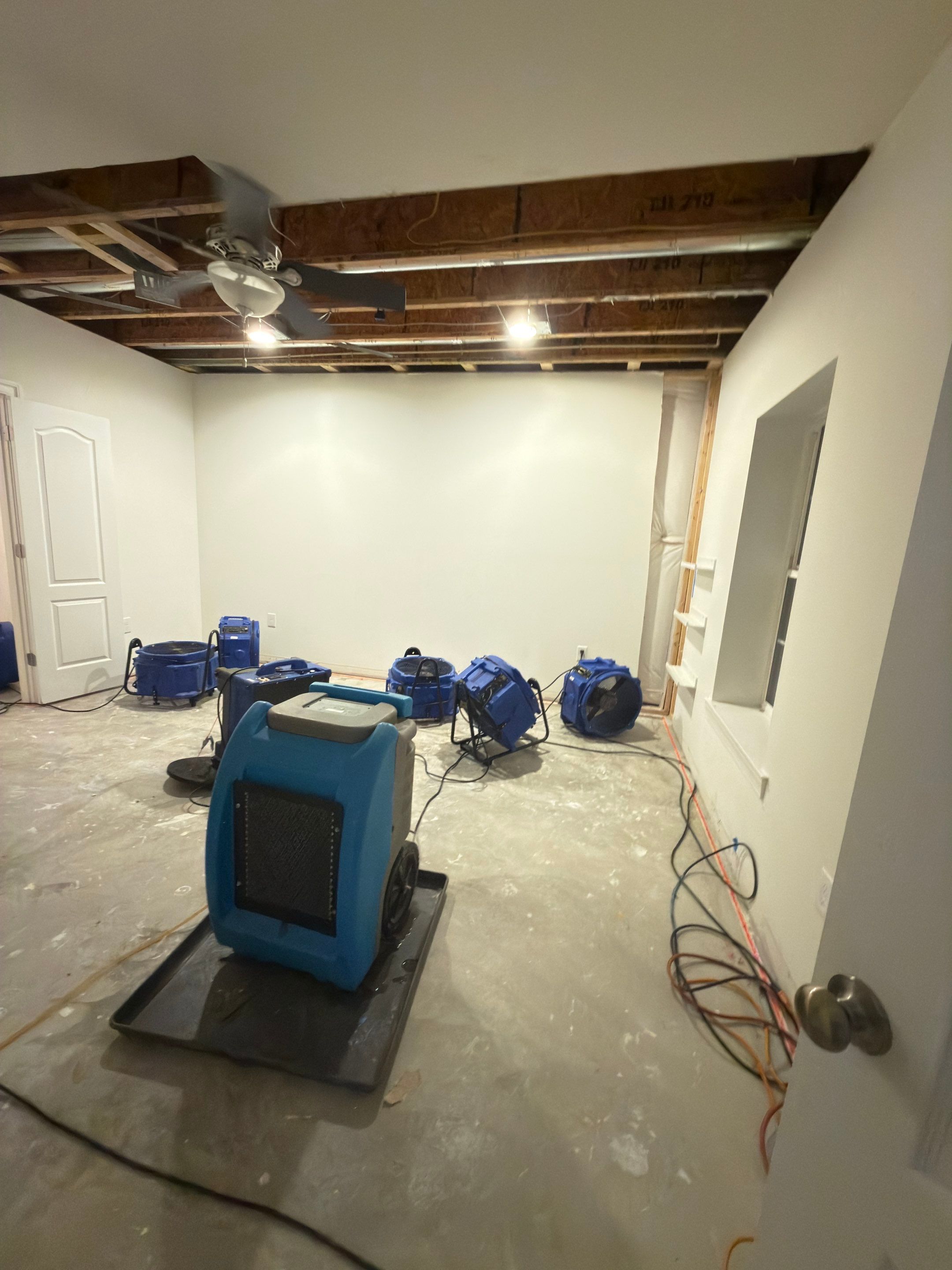 Sanitizing application to structural surfaces following mold removal and drying protocols.