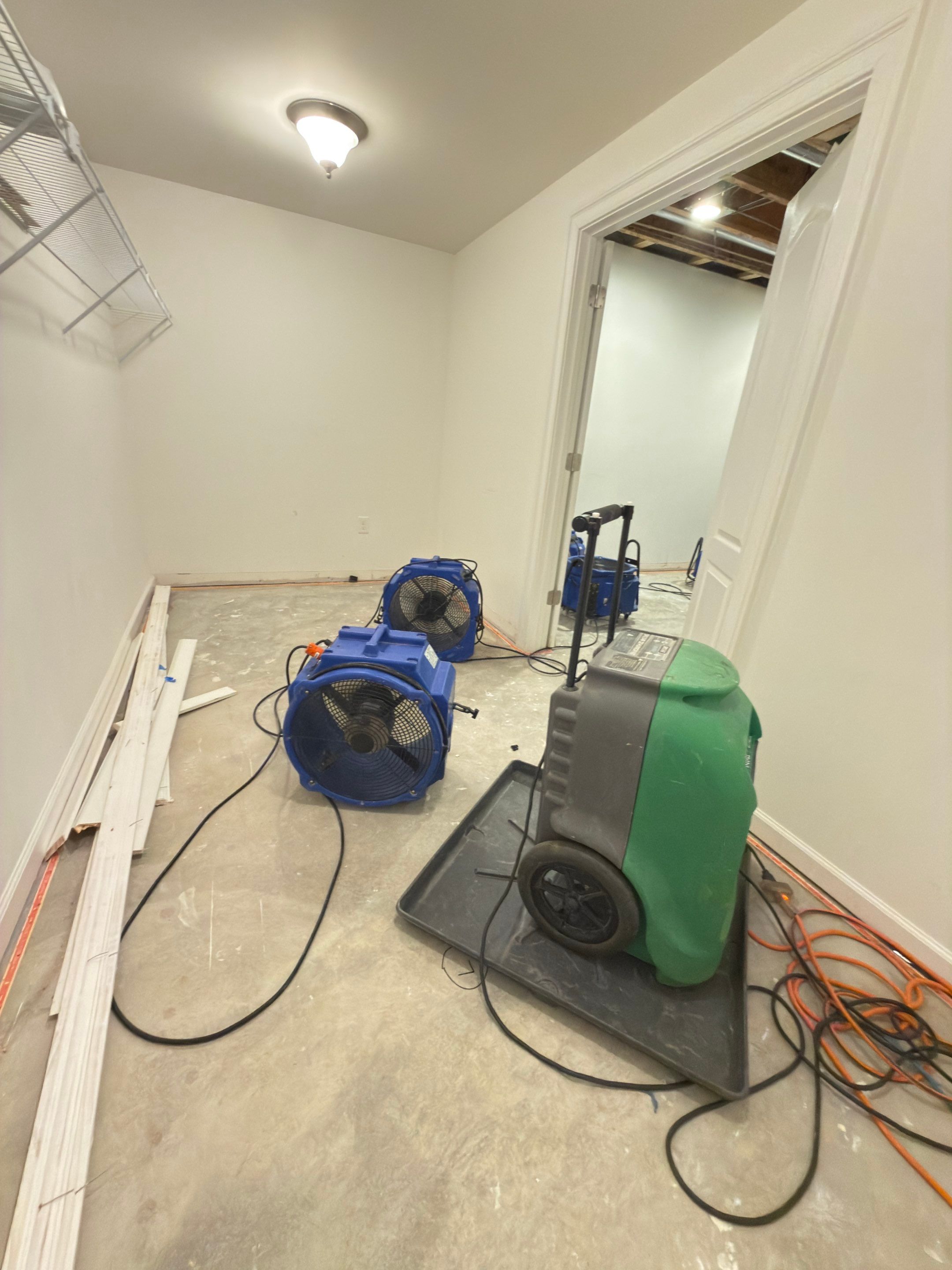 Antimicrobial treatment applied to affected surfaces as part of the mold remediation process.