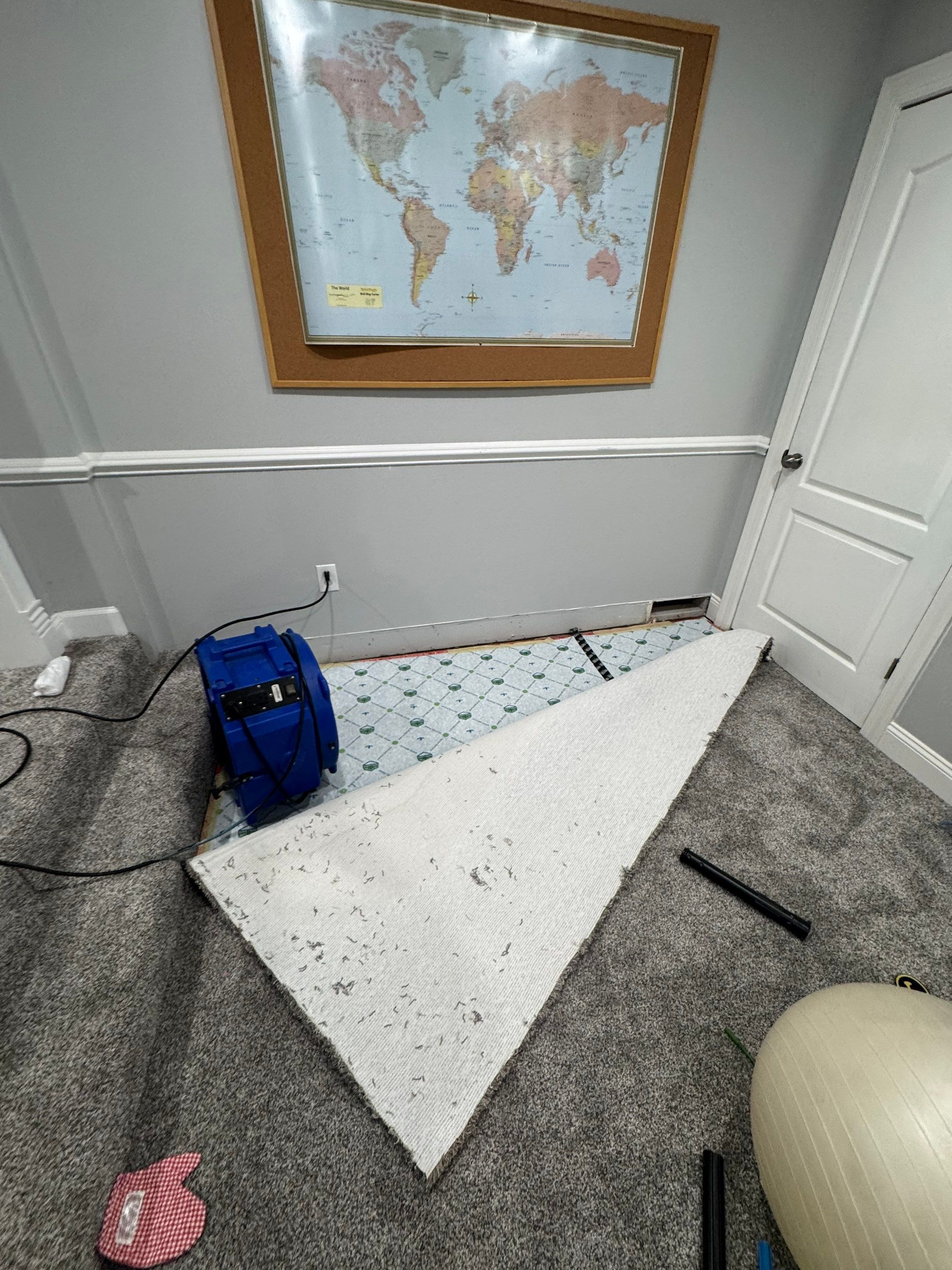 Thermal imaging reveals moisture distribution during water damage assessment in Gainesville.