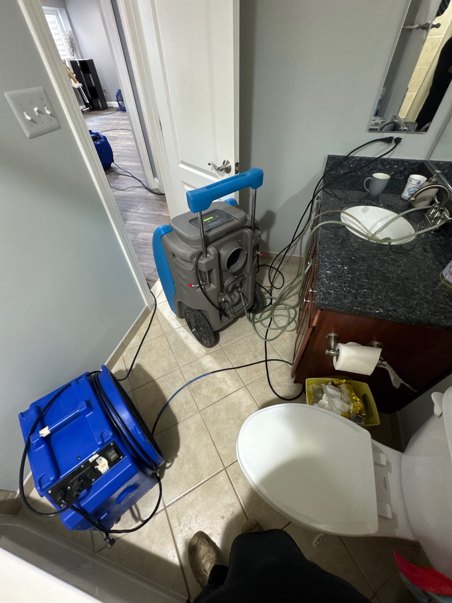 Sanitizing and moisture monitoring during active restoration work in Woodbridge home.
