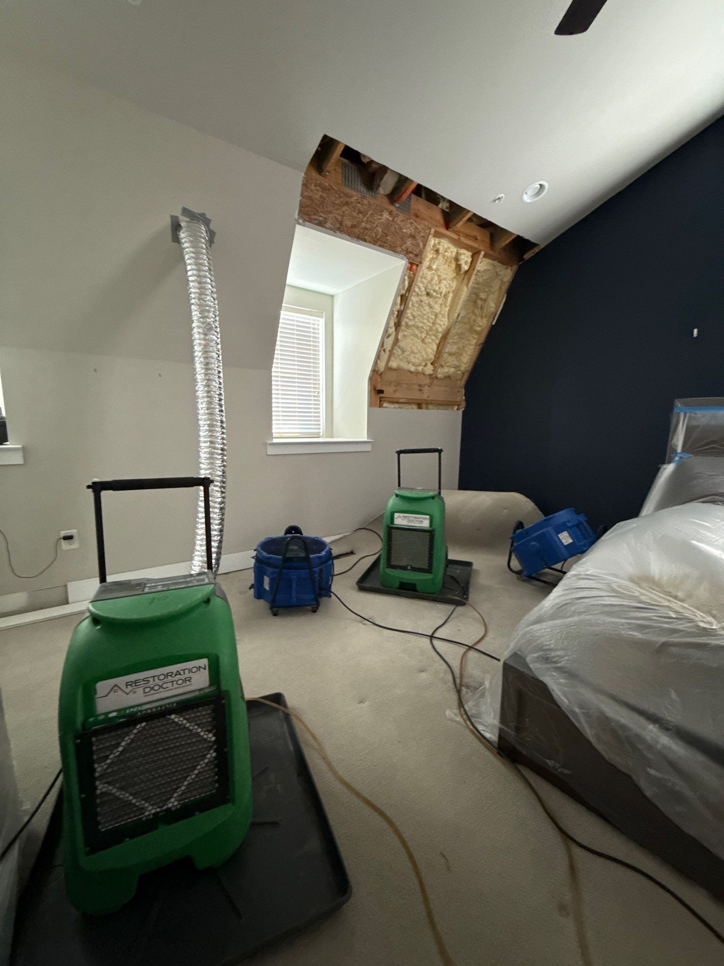 Mold remediation in Arlington begins with dehumidification equipment positioned to manage moisture in affected areas.