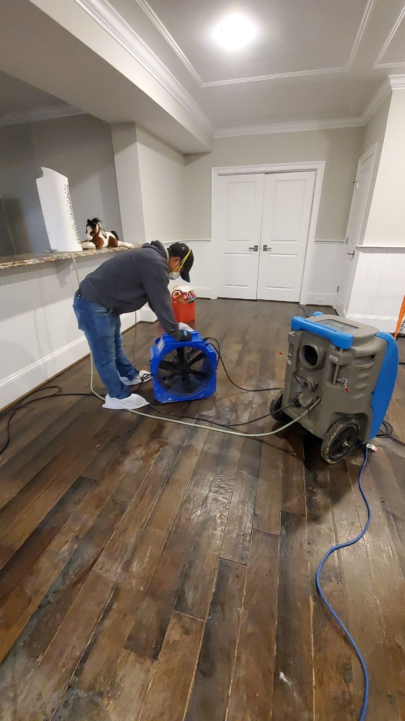 Carpet remediation underway as part of comprehensive drying and restoration sequence.