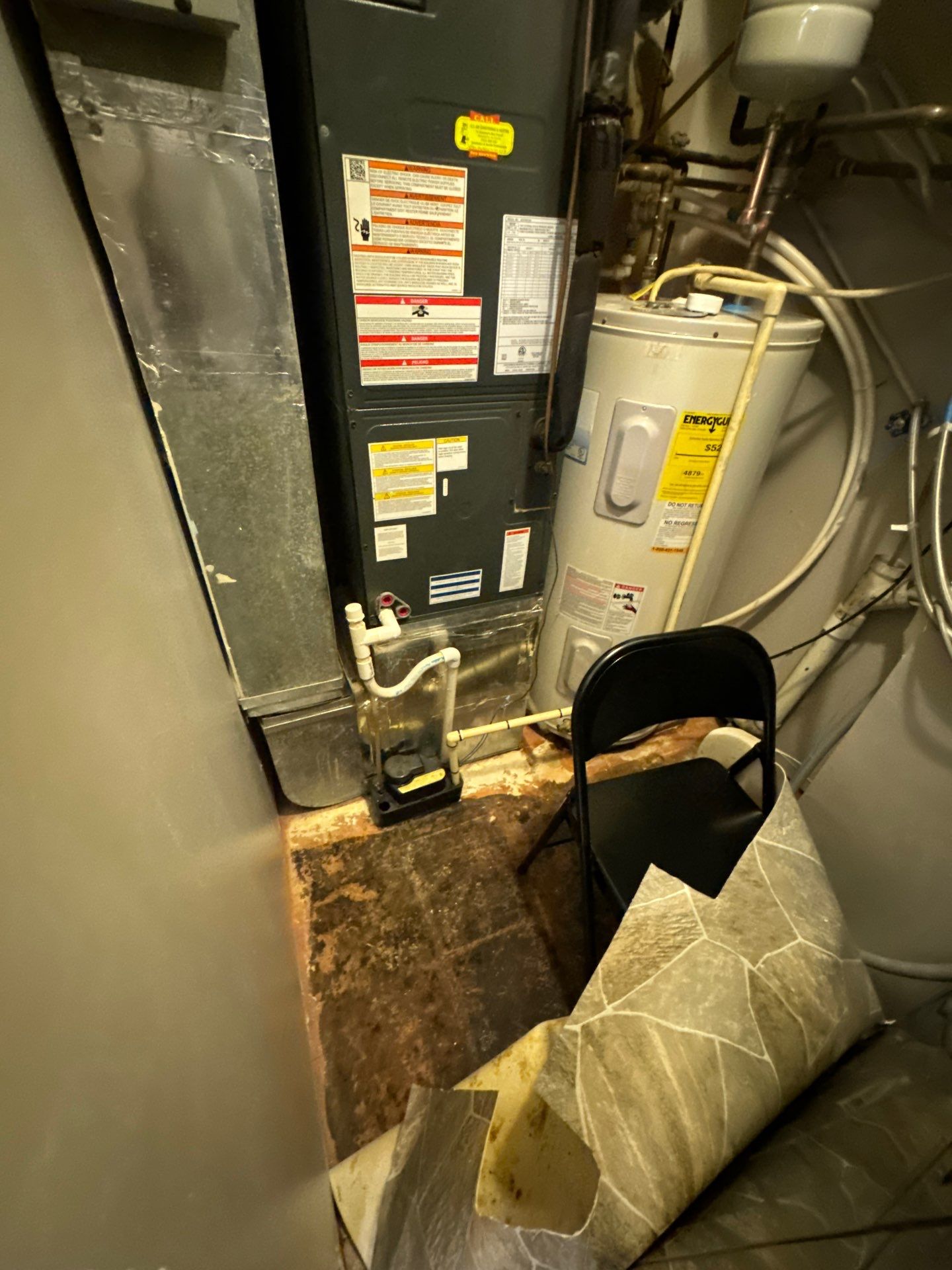 Structural drying underway following thermal imaging assessment of mold-affected areas.
