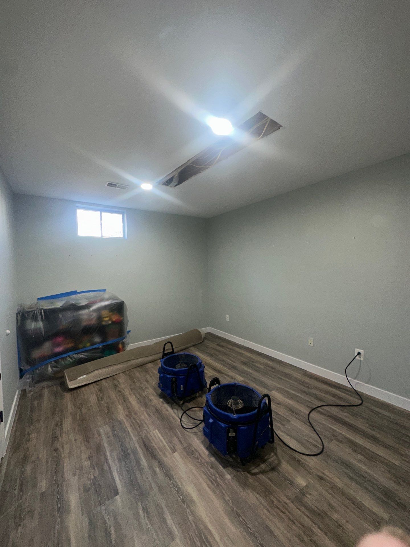 Drying equipment positioned to manage residual moisture after mold removal.