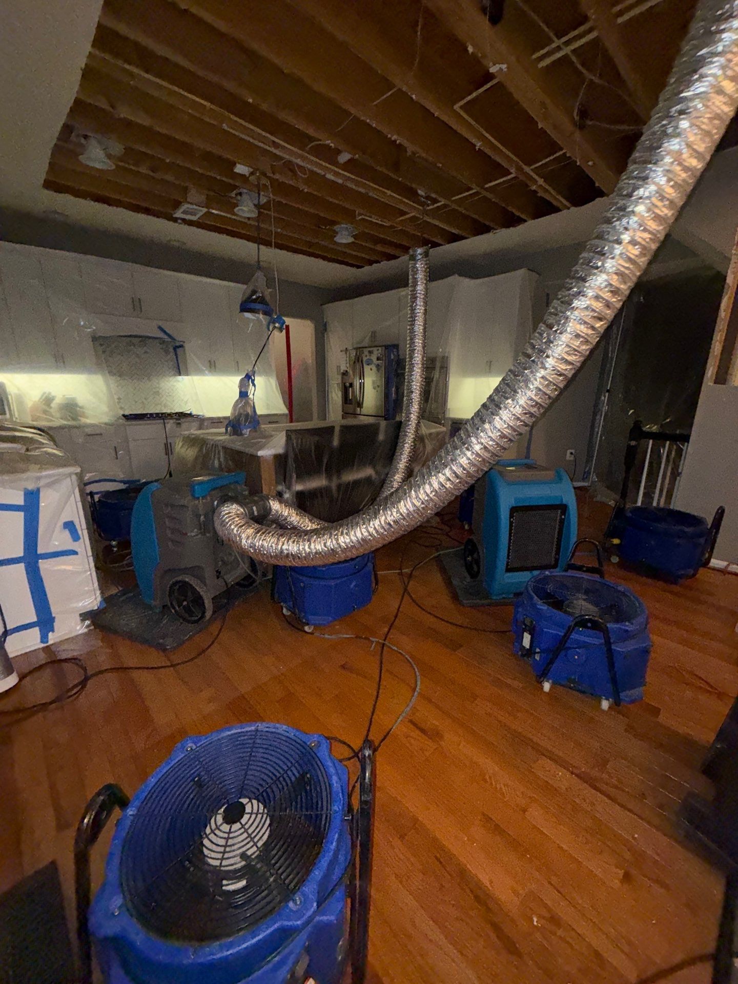 Thermal imaging camera detecting moisture patterns in ceiling during mold remediation in Haymarket.