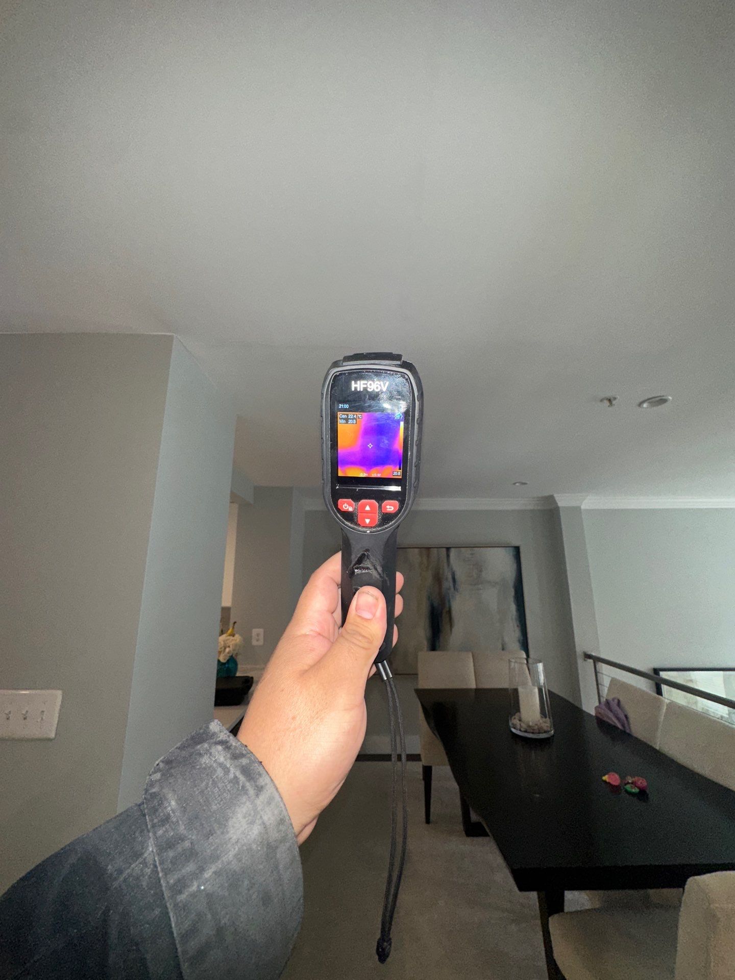 Thermal imaging inspection mapping moisture distribution within walls during Reston water restoration work.