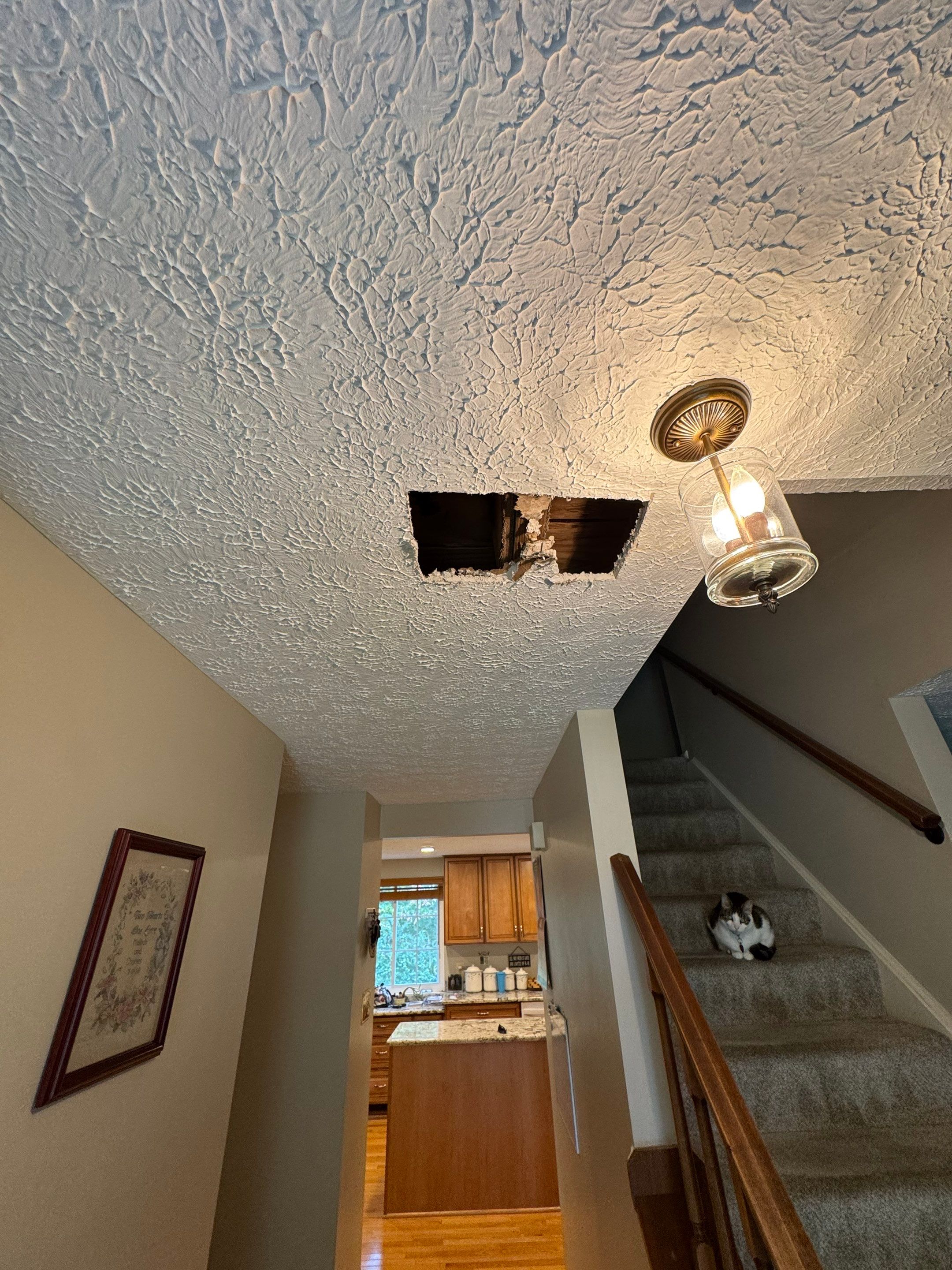Repaired ceiling section showing completed drywall installation following water damage restoration in Springfield.