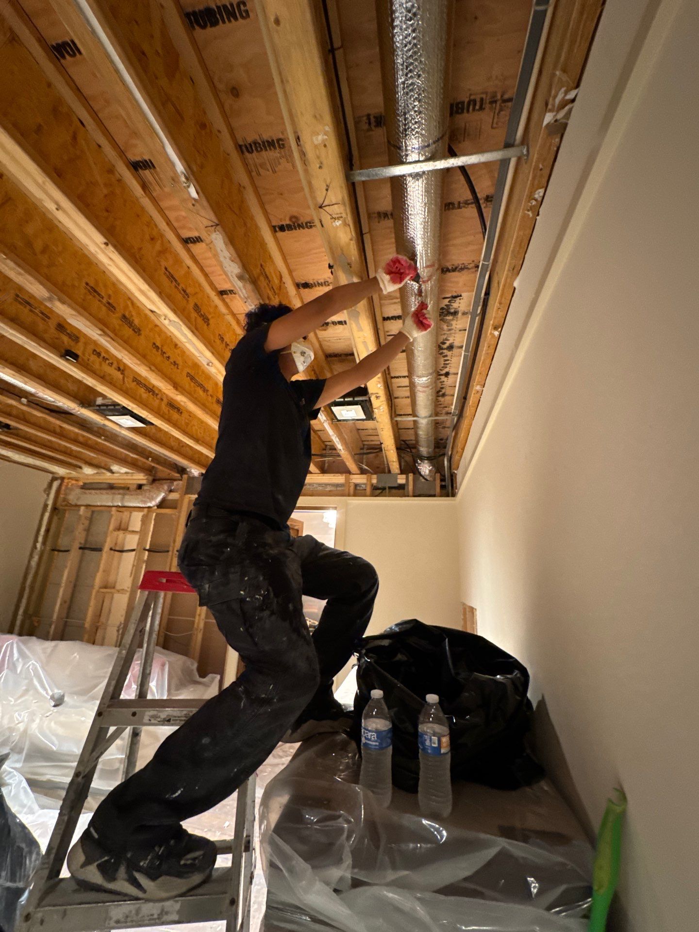Wall cavity inspection revealing extent of mold-affected material.