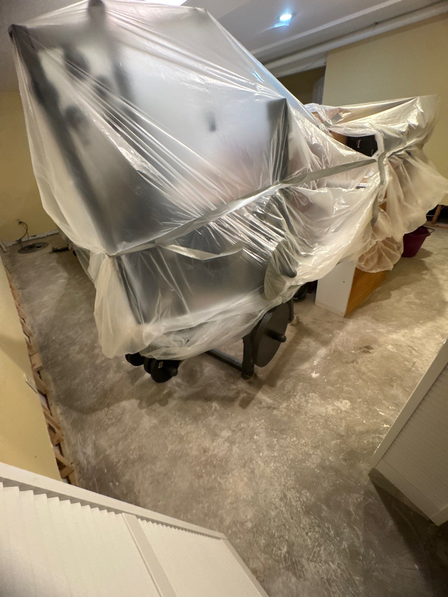 Standing water and saturated carpet in Great Falls home requiring mold remediation and extraction.