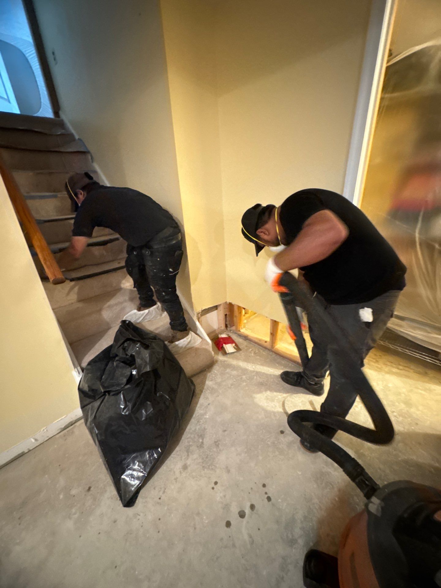 Final stages of moisture removal and structural assessment in mold remediation project.