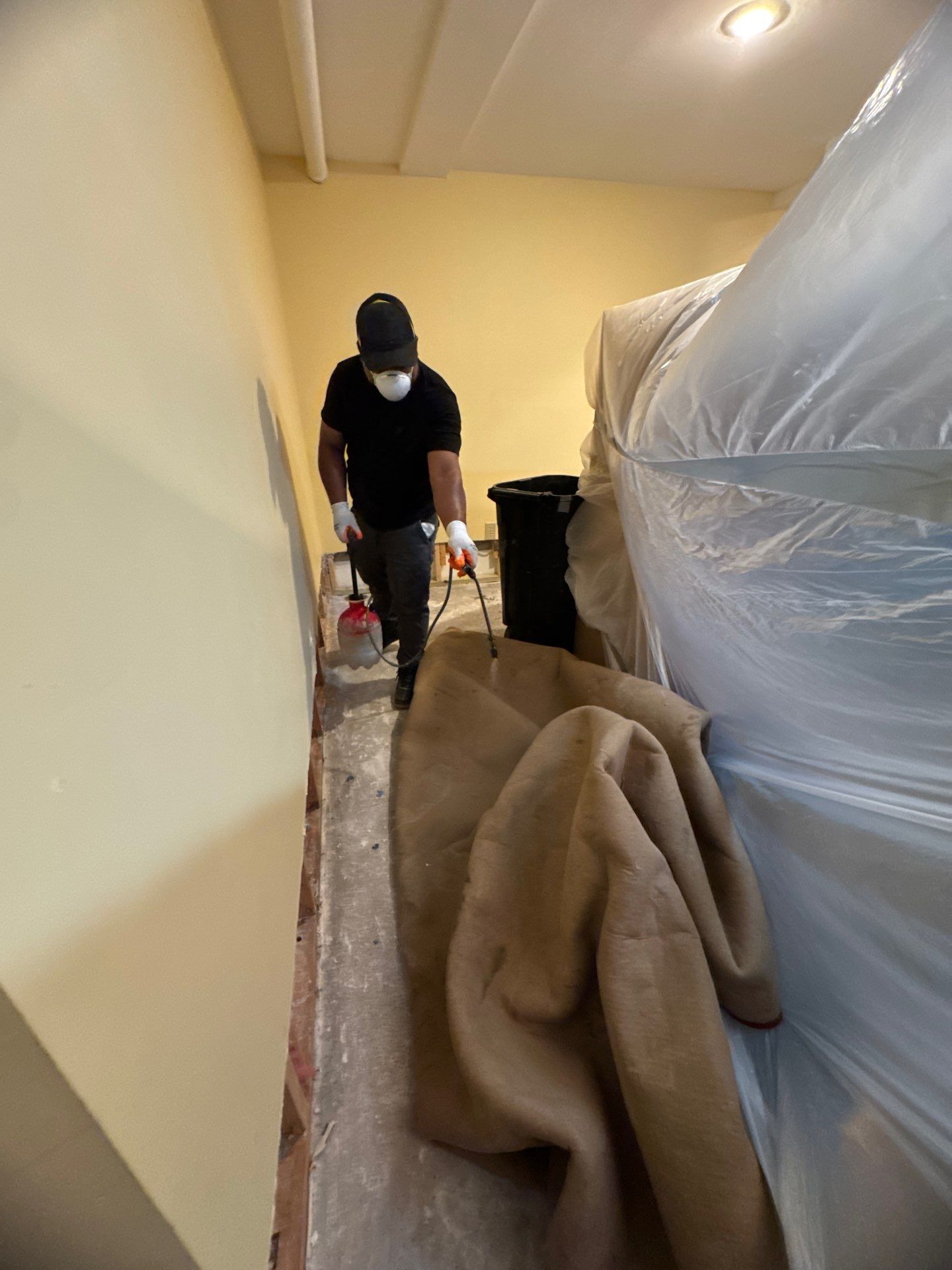Continued drying and monitoring of structural materials in active mold remediation.