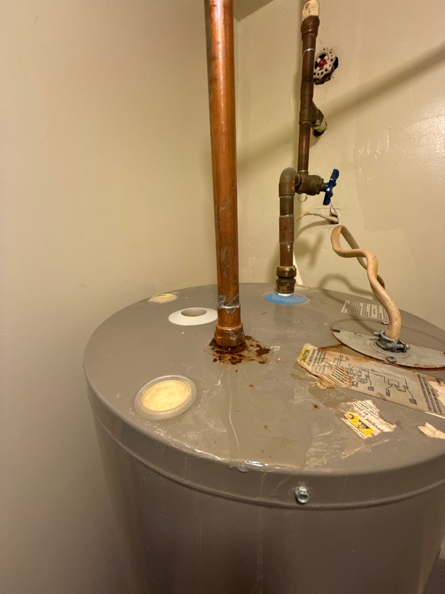 Antimicrobial treatment applied to framing and substructure as part of Purcellville mold remediation protocol.