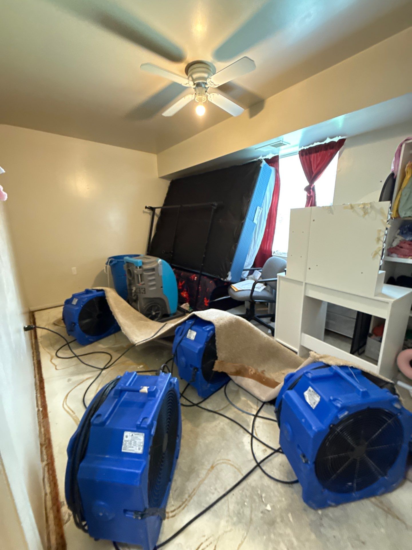 Final inspection and sanitization complete the mold remediation process in Purcellville.