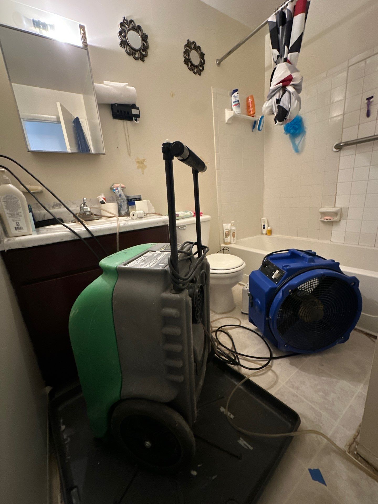 Mold remediation in Purcellville begins with structural assessment and moisture mapping to identify affected areas.