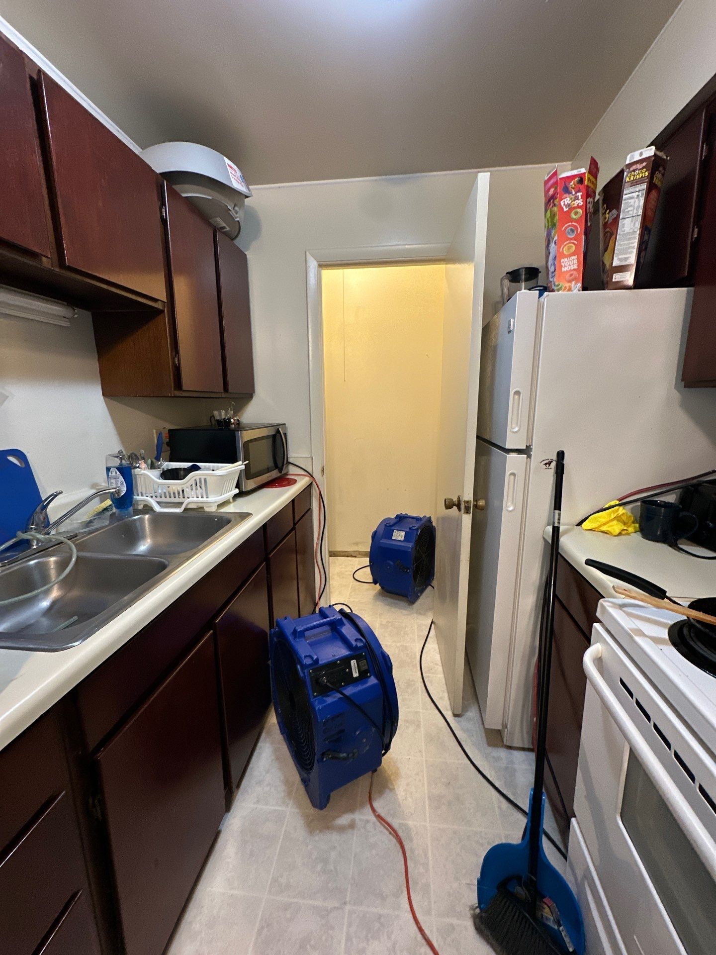 Dehumidifiers and air movers positioned to dry structural components and prevent mold recurrence.