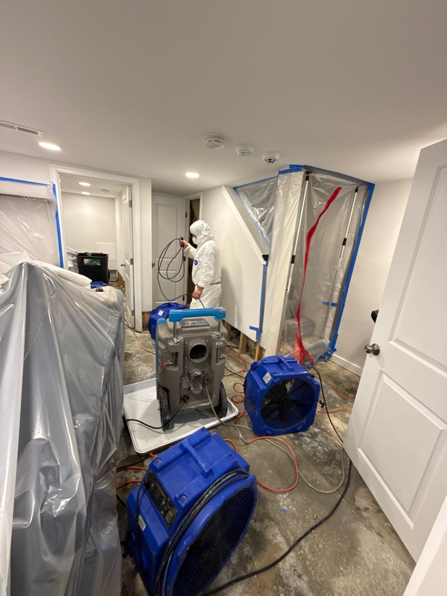 Completed water extraction and structural drying in Alexandria restoration project.