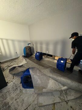 Moisture mapping in progress to guide targeted drying of affected building materials.