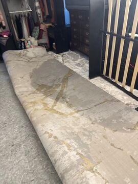 Monitoring equipment tracking moisture reduction during active dehumidification cycle.