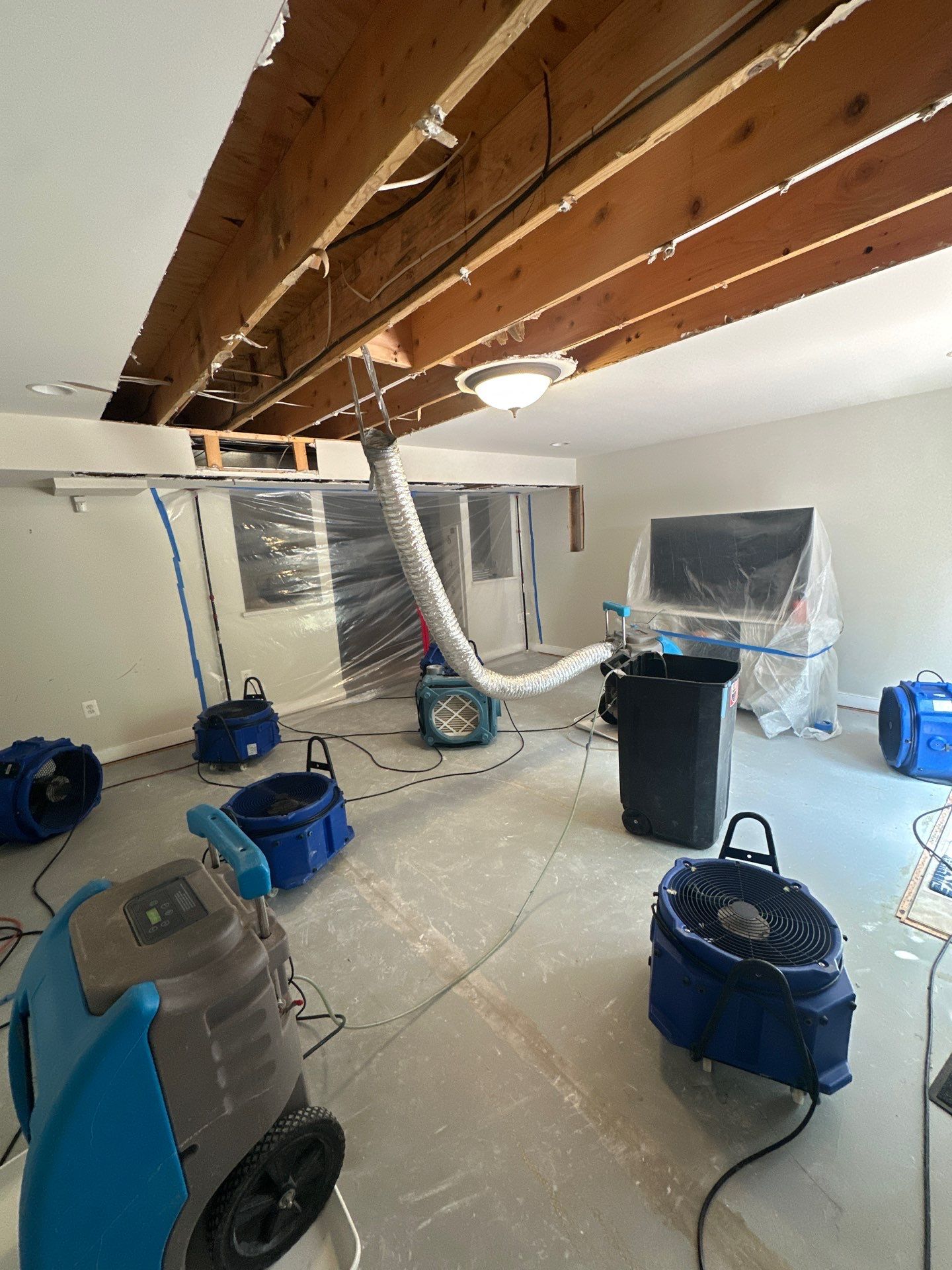 Thermal imaging reveals moisture patterns in ceiling assembly during mold remediation inspection in Stafford.