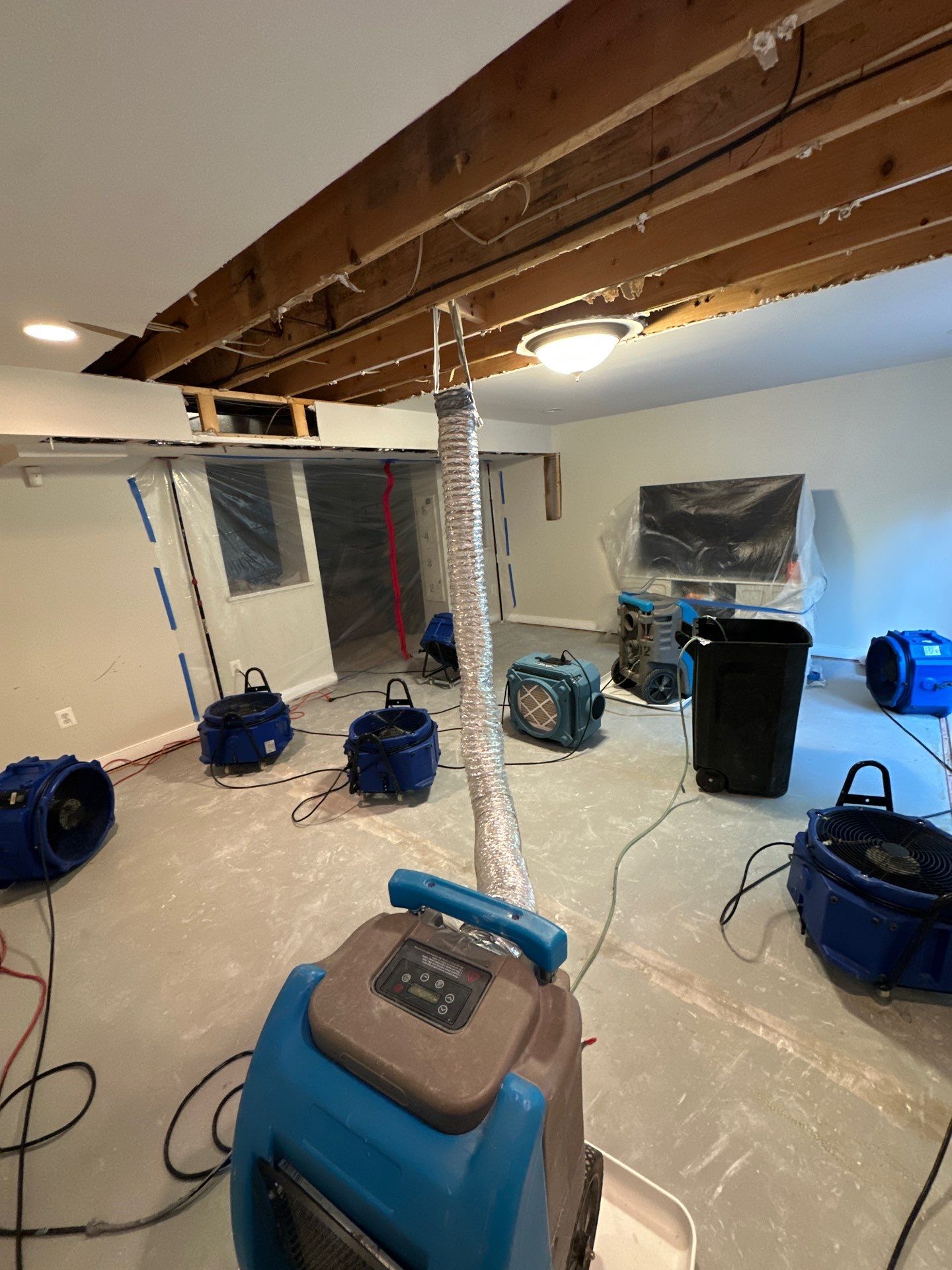 Repaired ceiling section restored after mold remediation and structural drying complete.