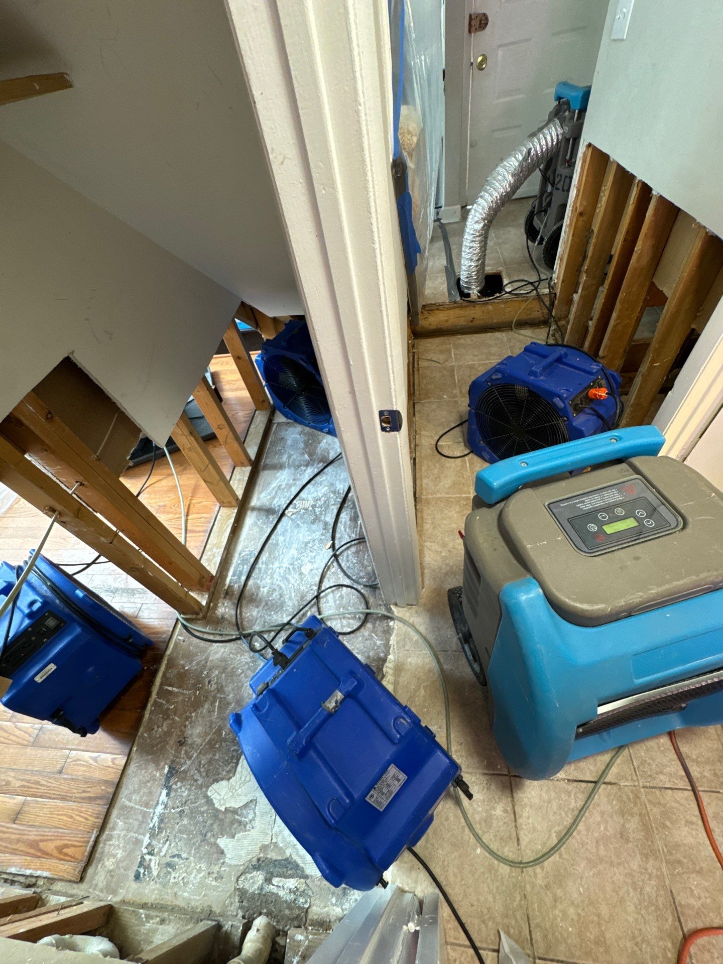 Thermal imaging camera documenting moisture distribution across affected structural surfaces.