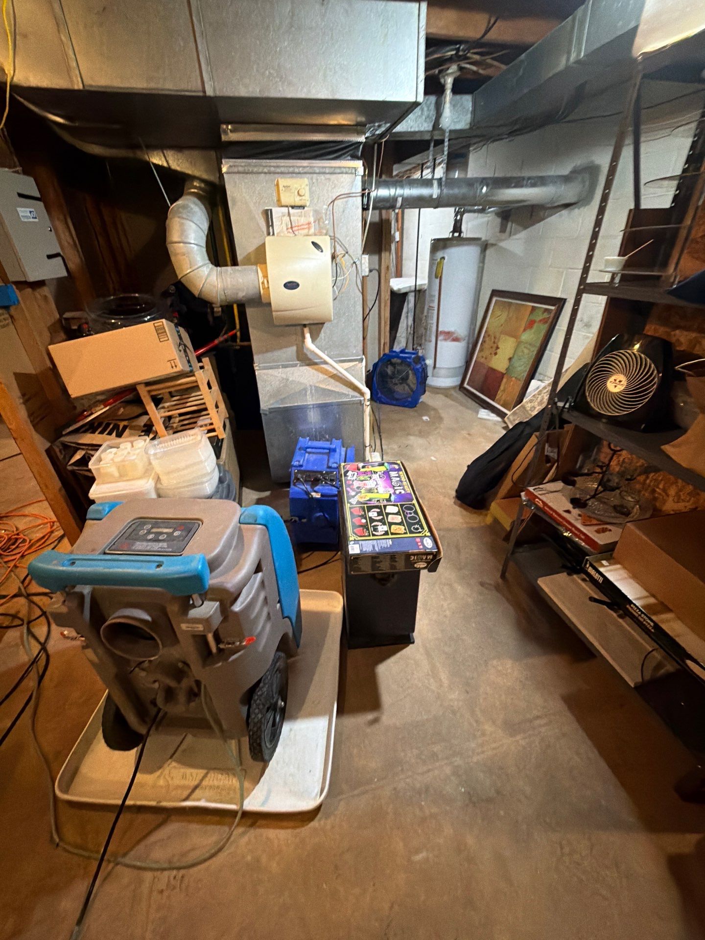 Standing water pooled across Vienna basement floor during initial water damage assessment.