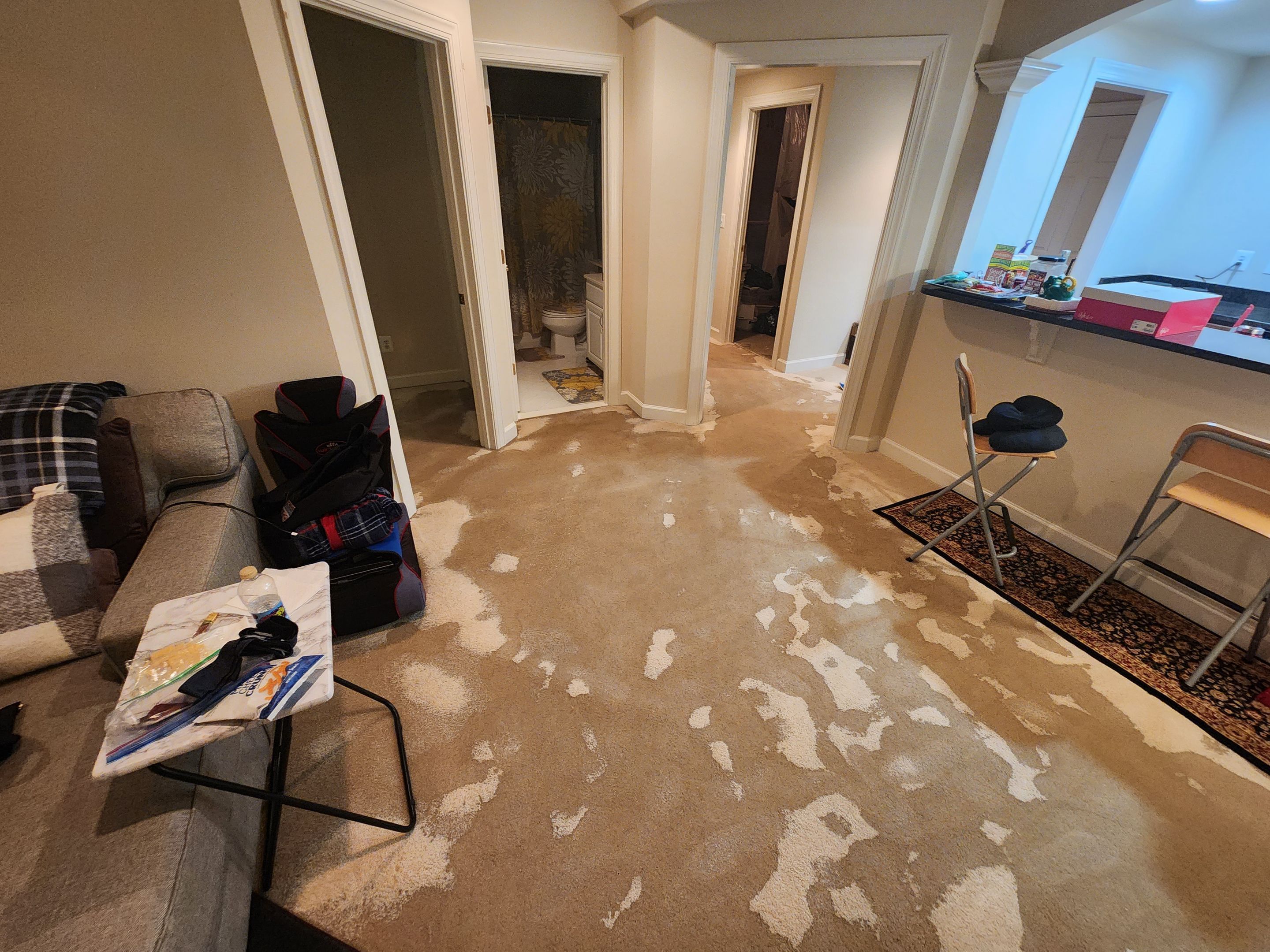 Standing water extraction underway in Leesburg water damage restoration, initial assessment phase.