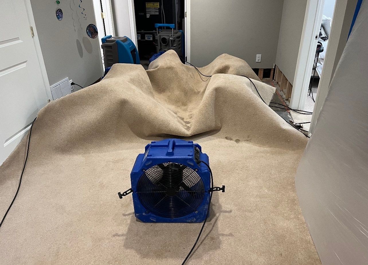 Water-damaged carpet and flooring in Chantilly home during initial assessment and dehumidification setup.