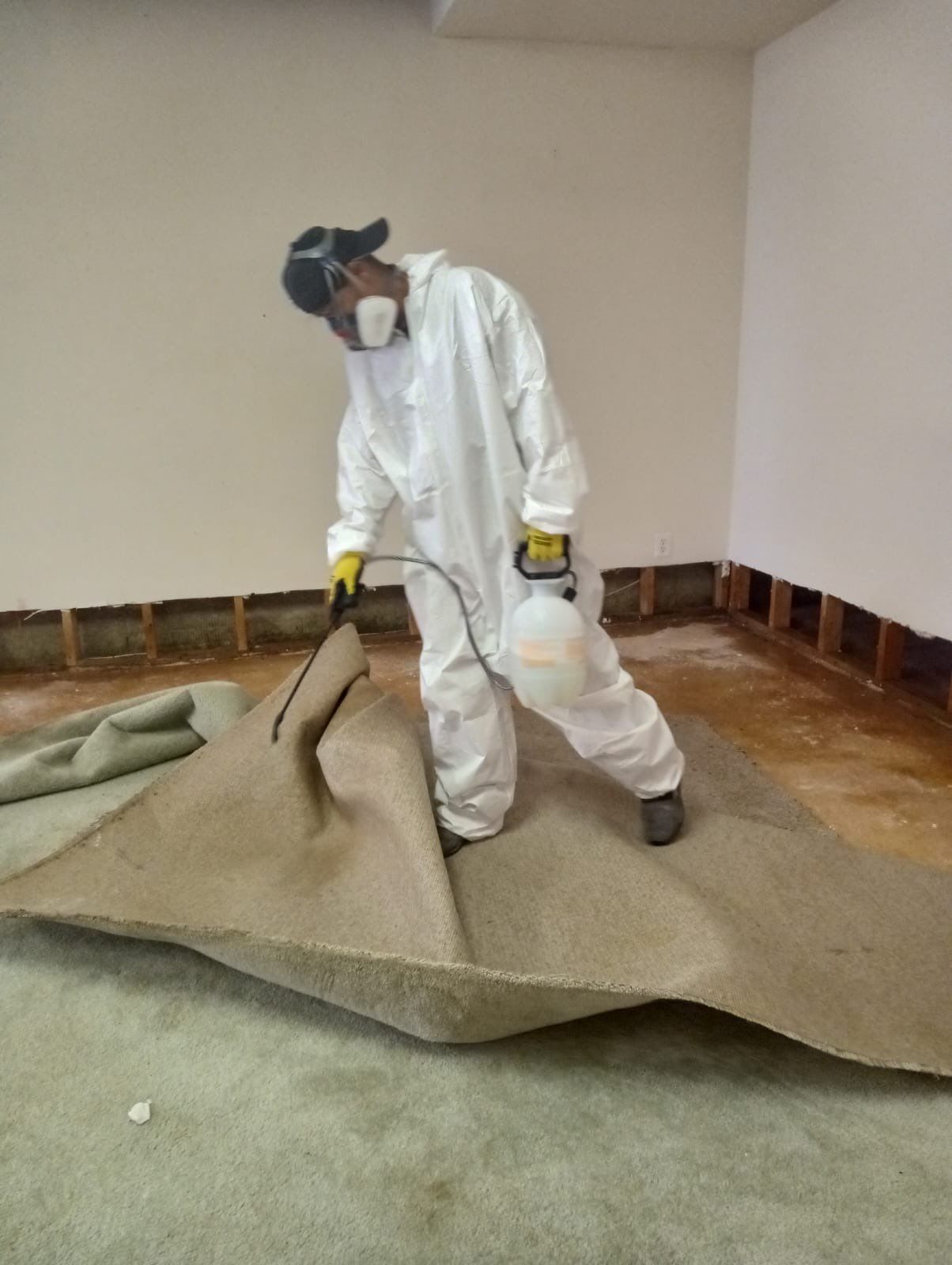 Continued dehumidification and air circulation supporting structural moisture removal.