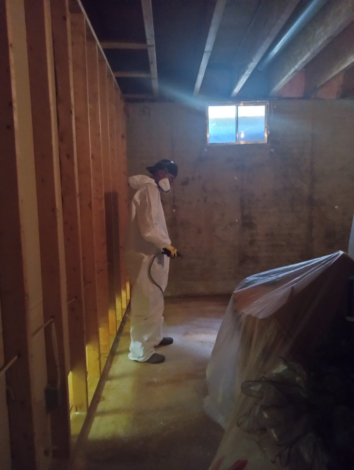 Moisture mapping in progress, monitoring drying progress across affected building materials.