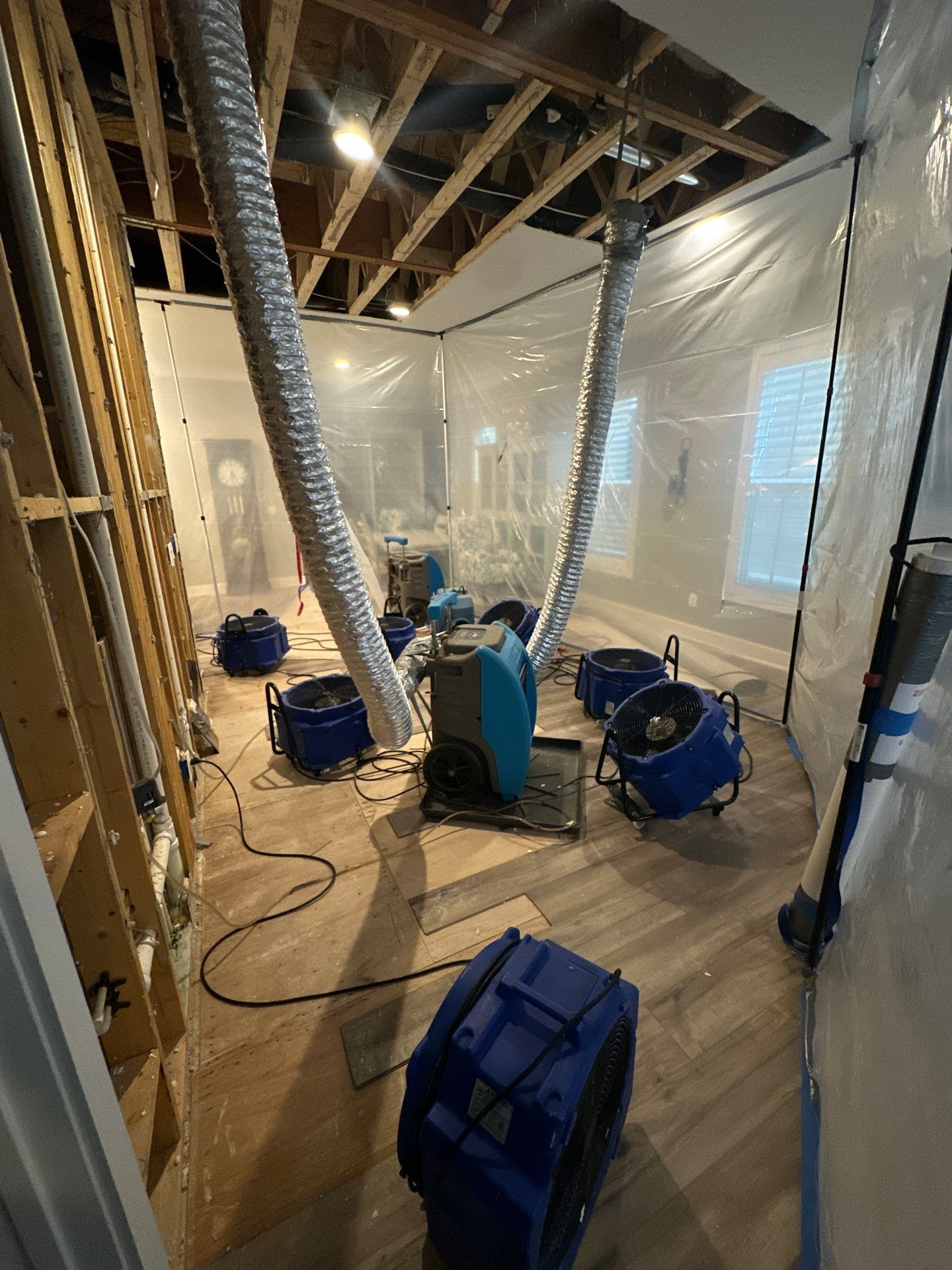 Repaired ceiling section after mold removal and moisture mitigation complete.