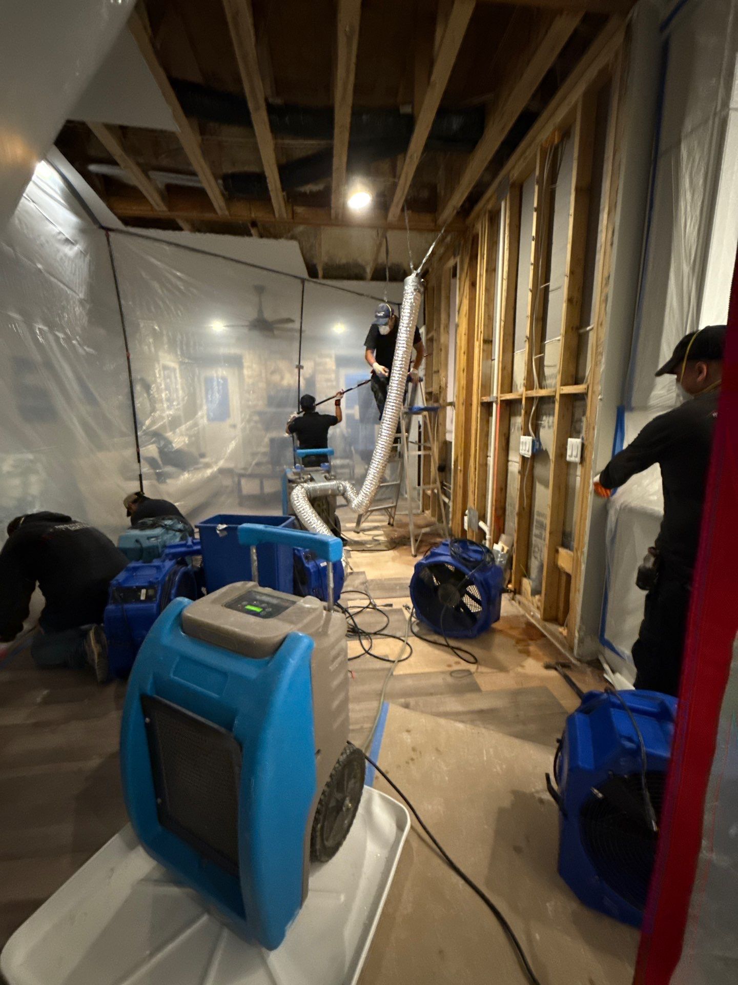 Thermal imaging reveals moisture patterns in ceiling assembly during mold remediation inspection in Ashburn.