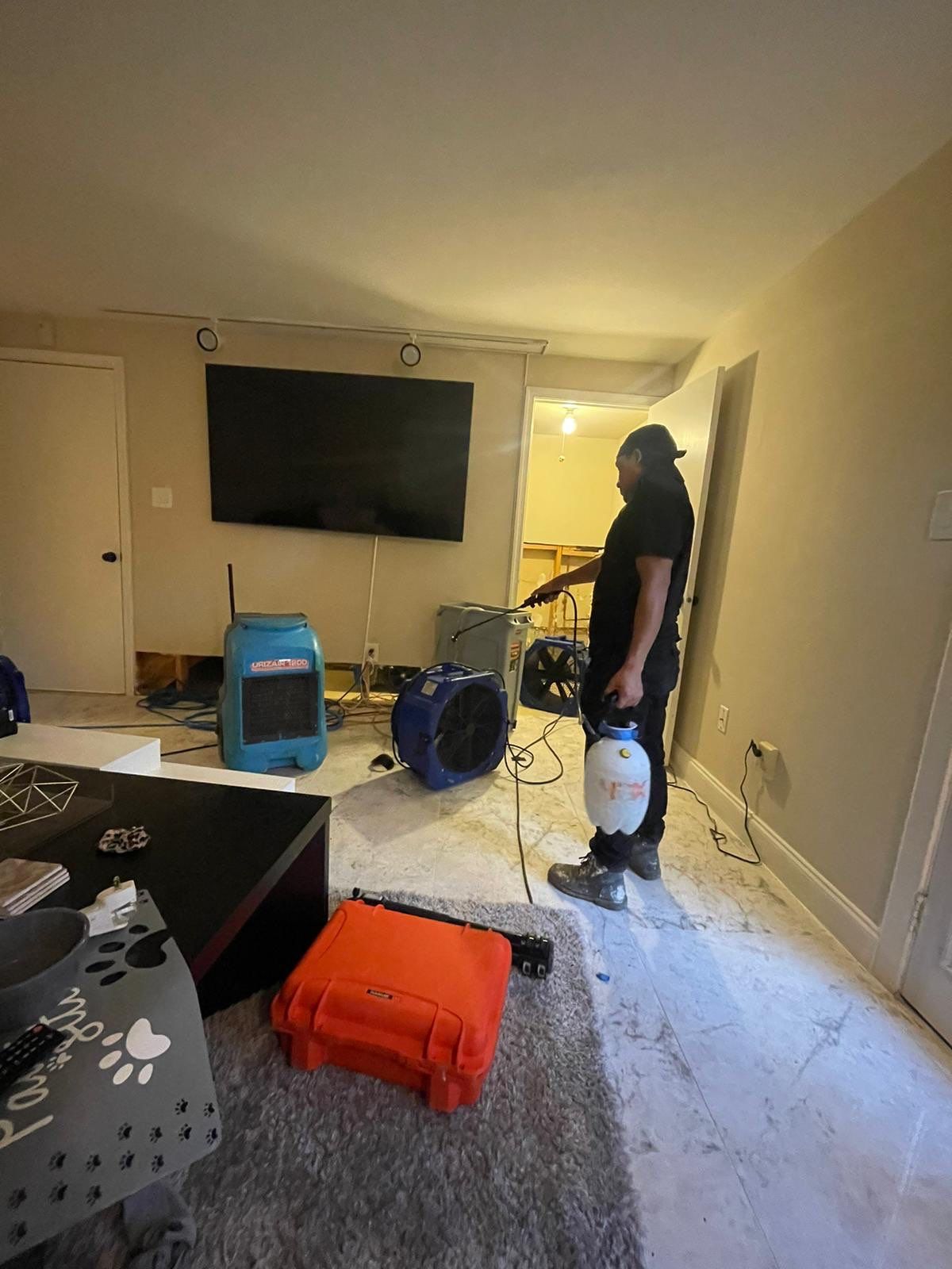 Moisture mapping in progress to guide drying strategy for mold remediation.
